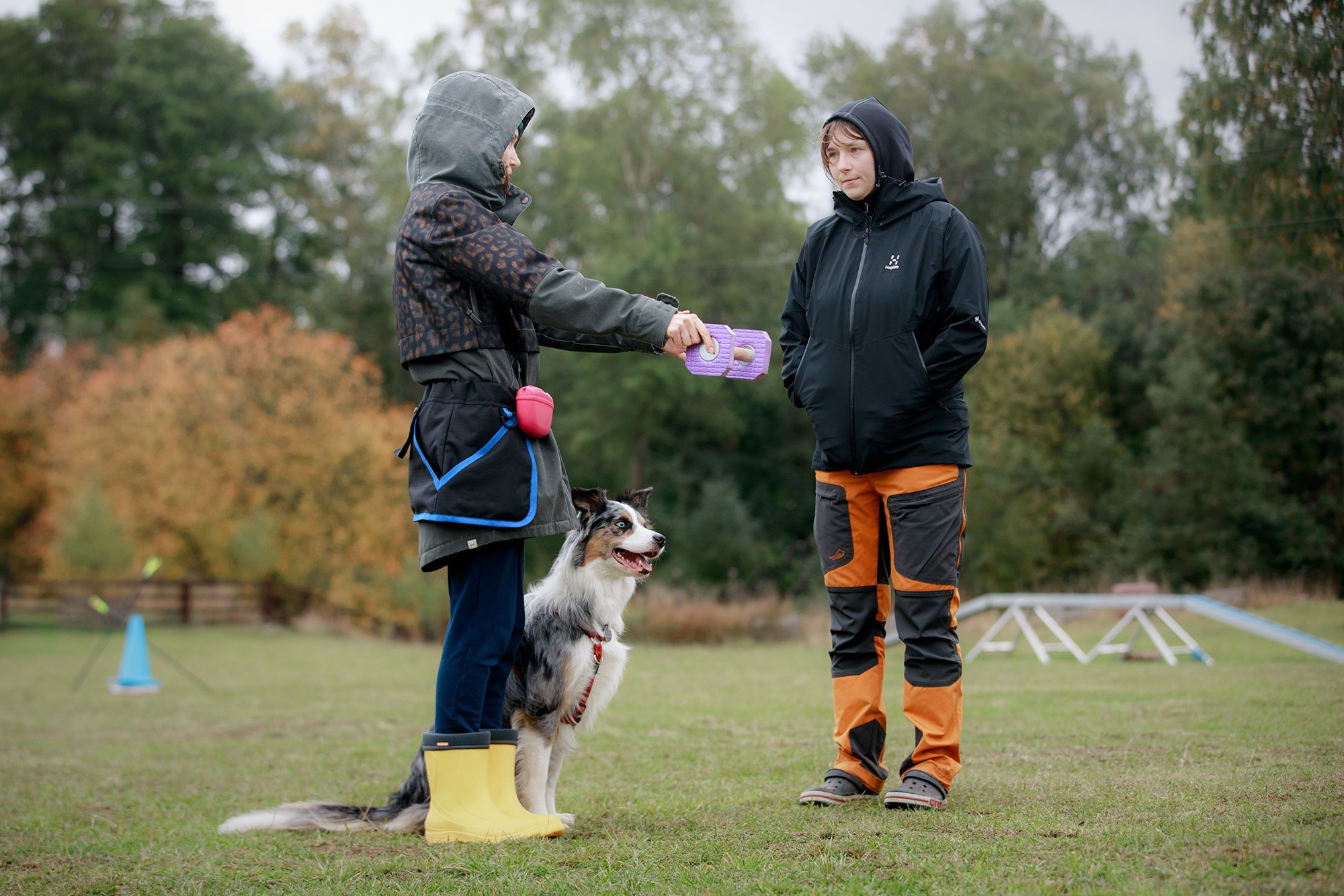 Лагерь по ОБД с Инной Баженовой. Фотограф-анималист Mary Mart — Москва, Питер
