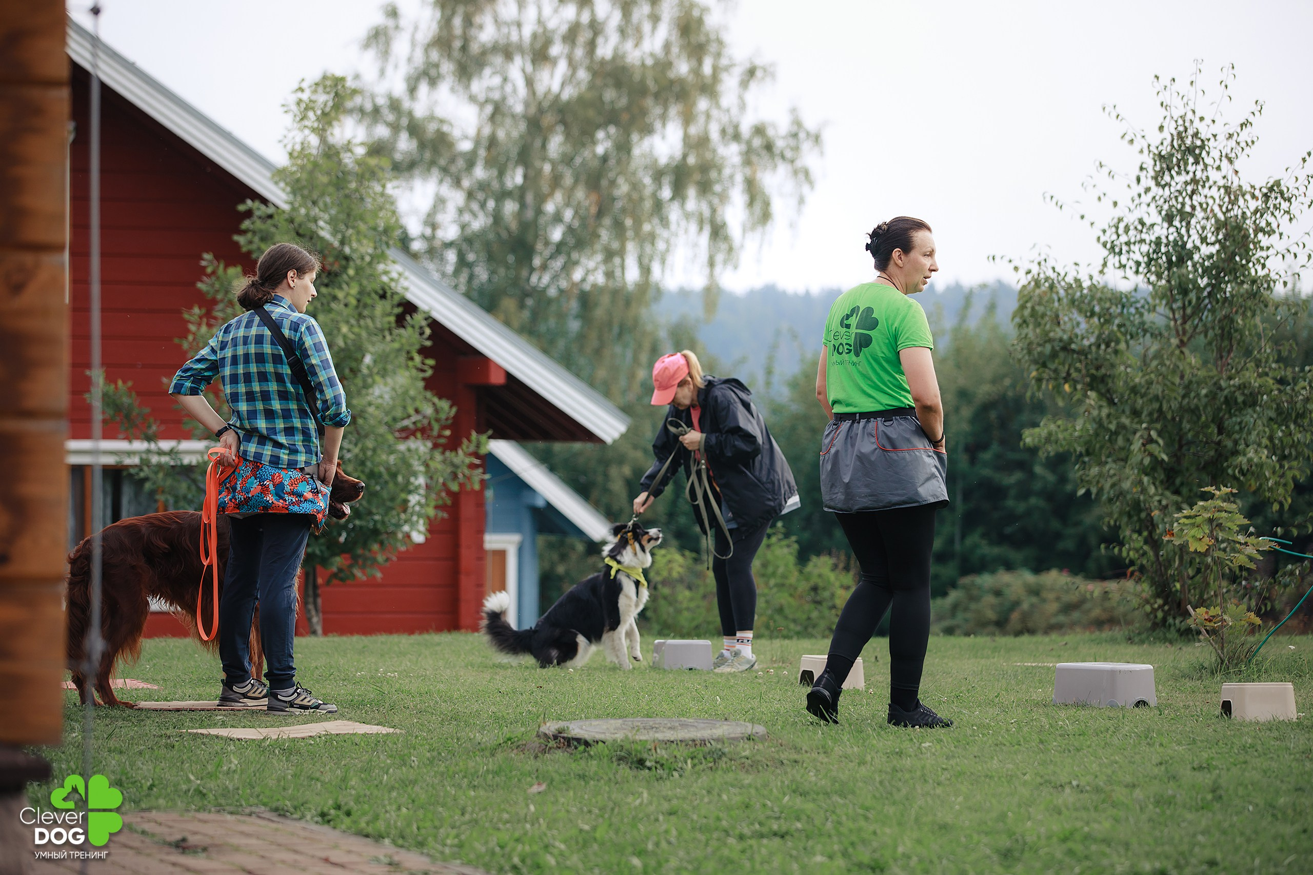 Кинологический лагерь CleverDog, 2024. Фотограф-анималист Mary Mart — Москва, Питер