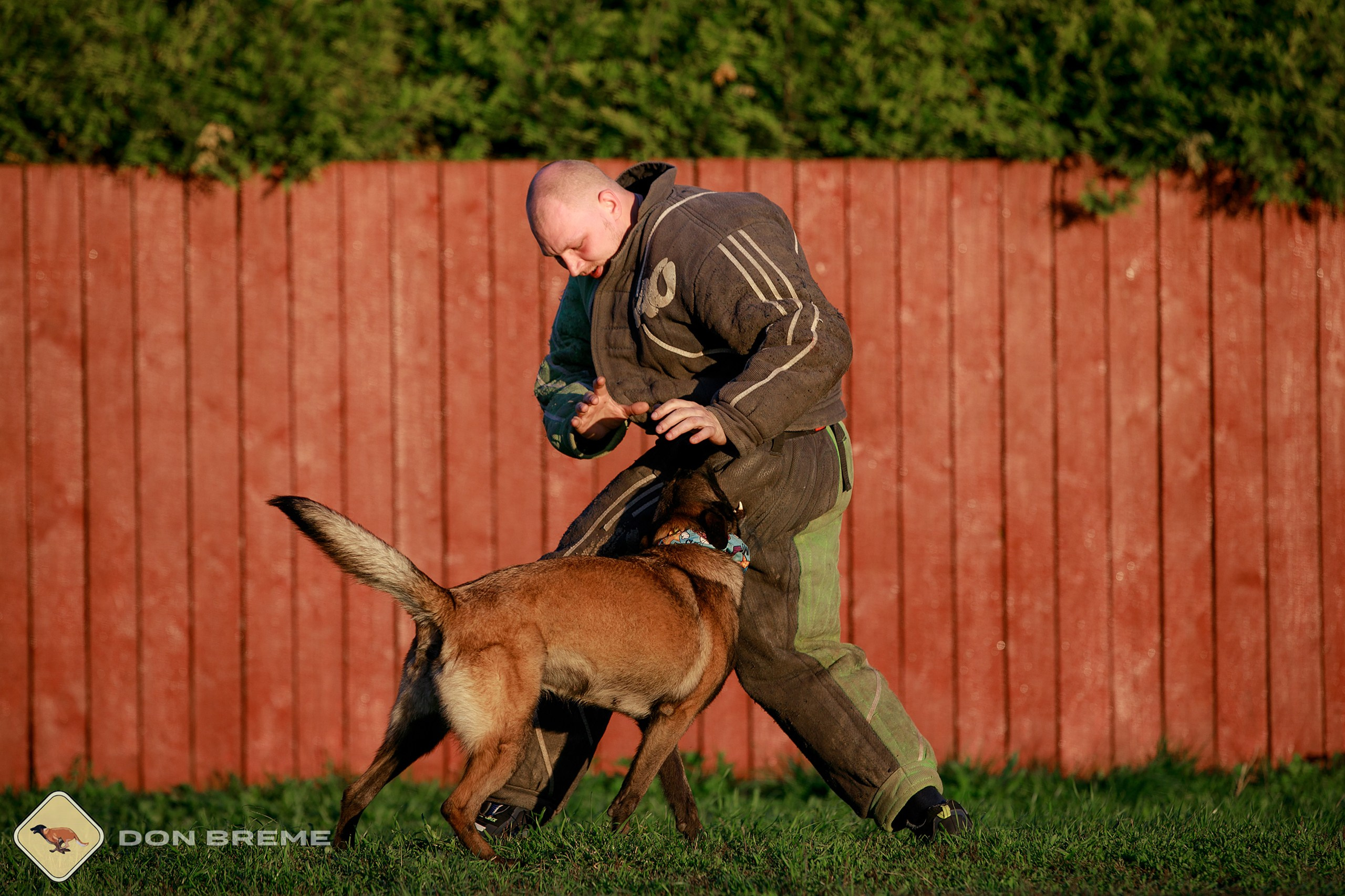 Семинар для фигурантов, день 3. Фотограф-анималист Mary Mart — Москва, Питер