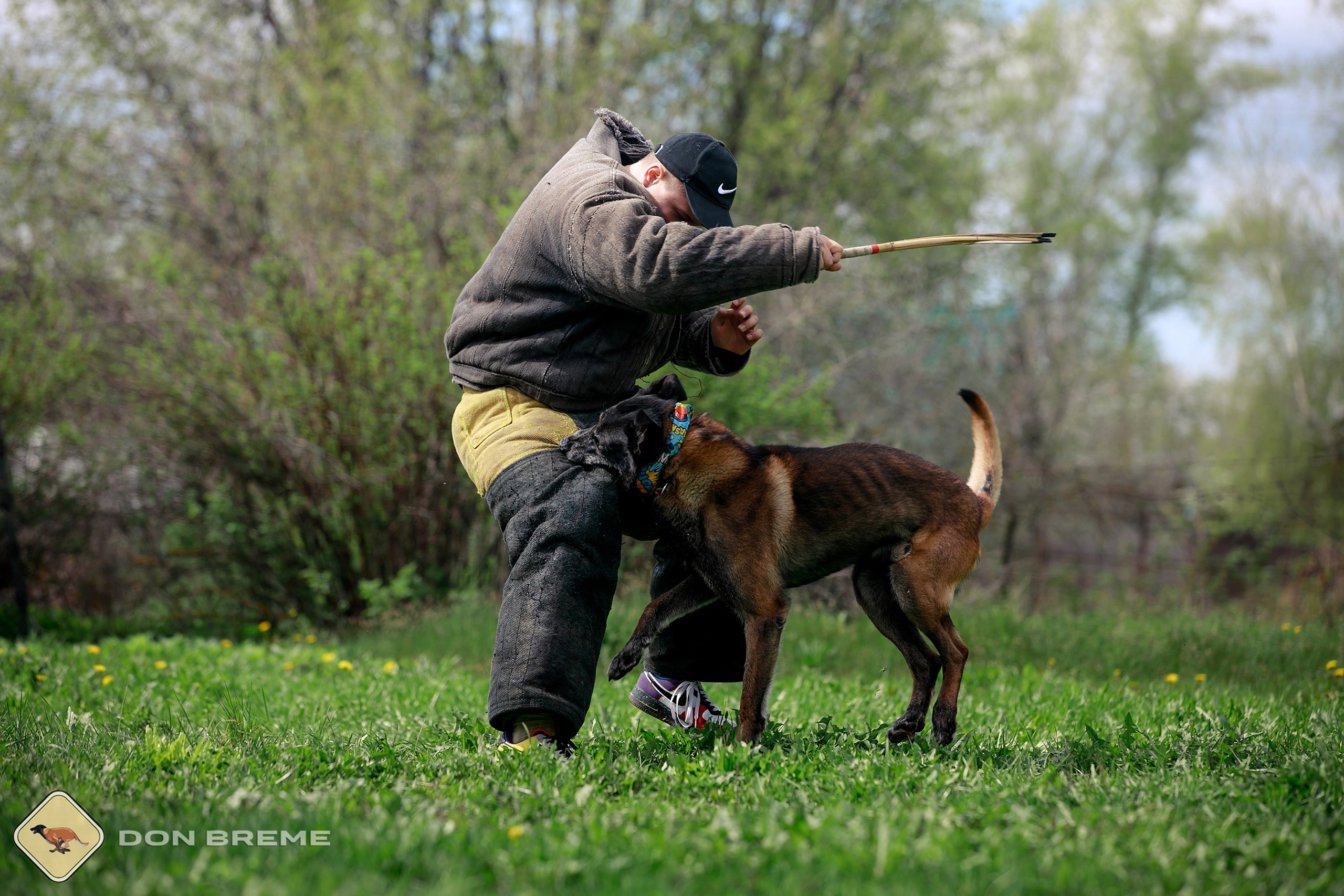 Семинар для фигурантов, день 2. Фотограф-анималист Mary Mart — Москва, Питер