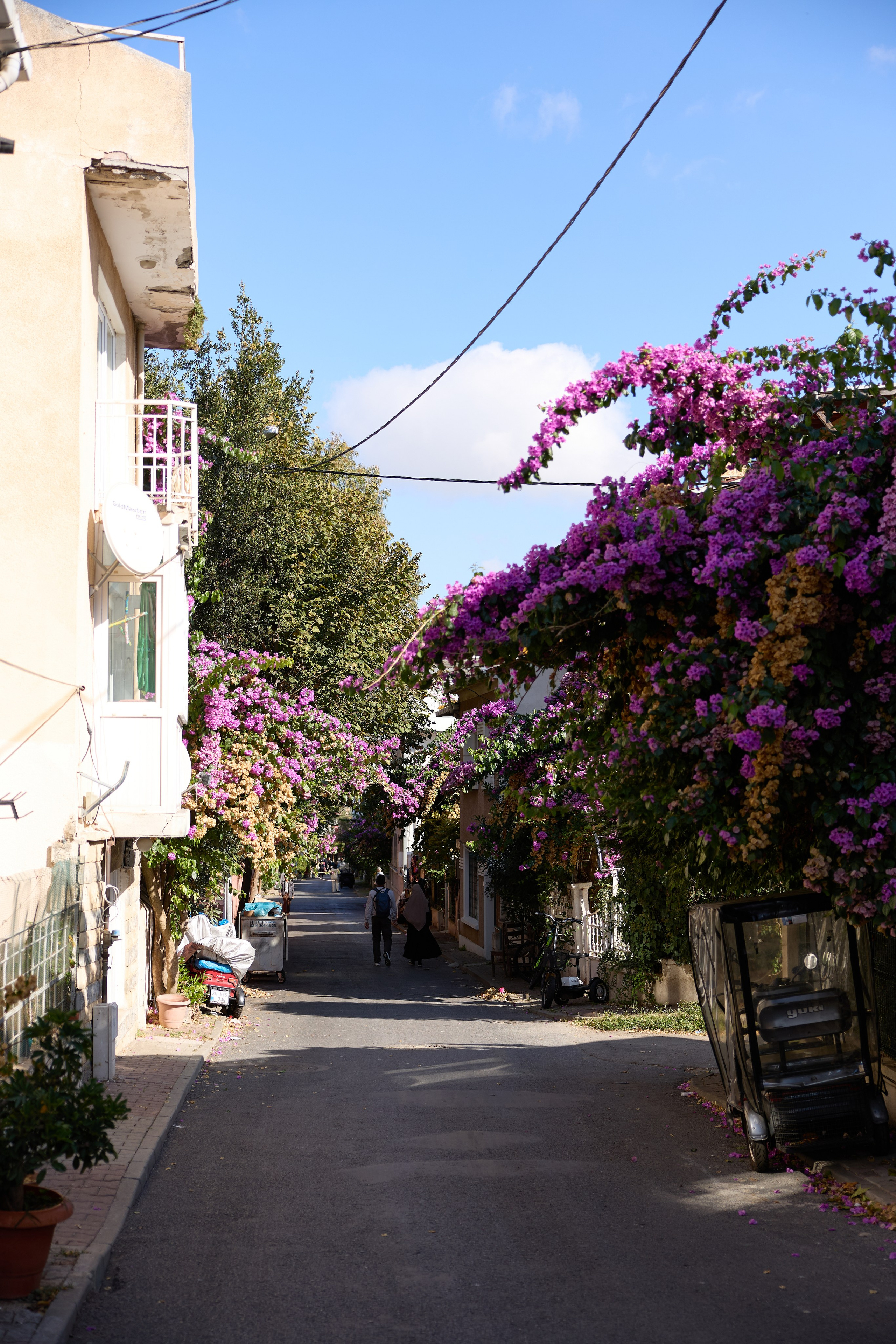Стамбул 24. Фотограф Москва, Дима Пеллер