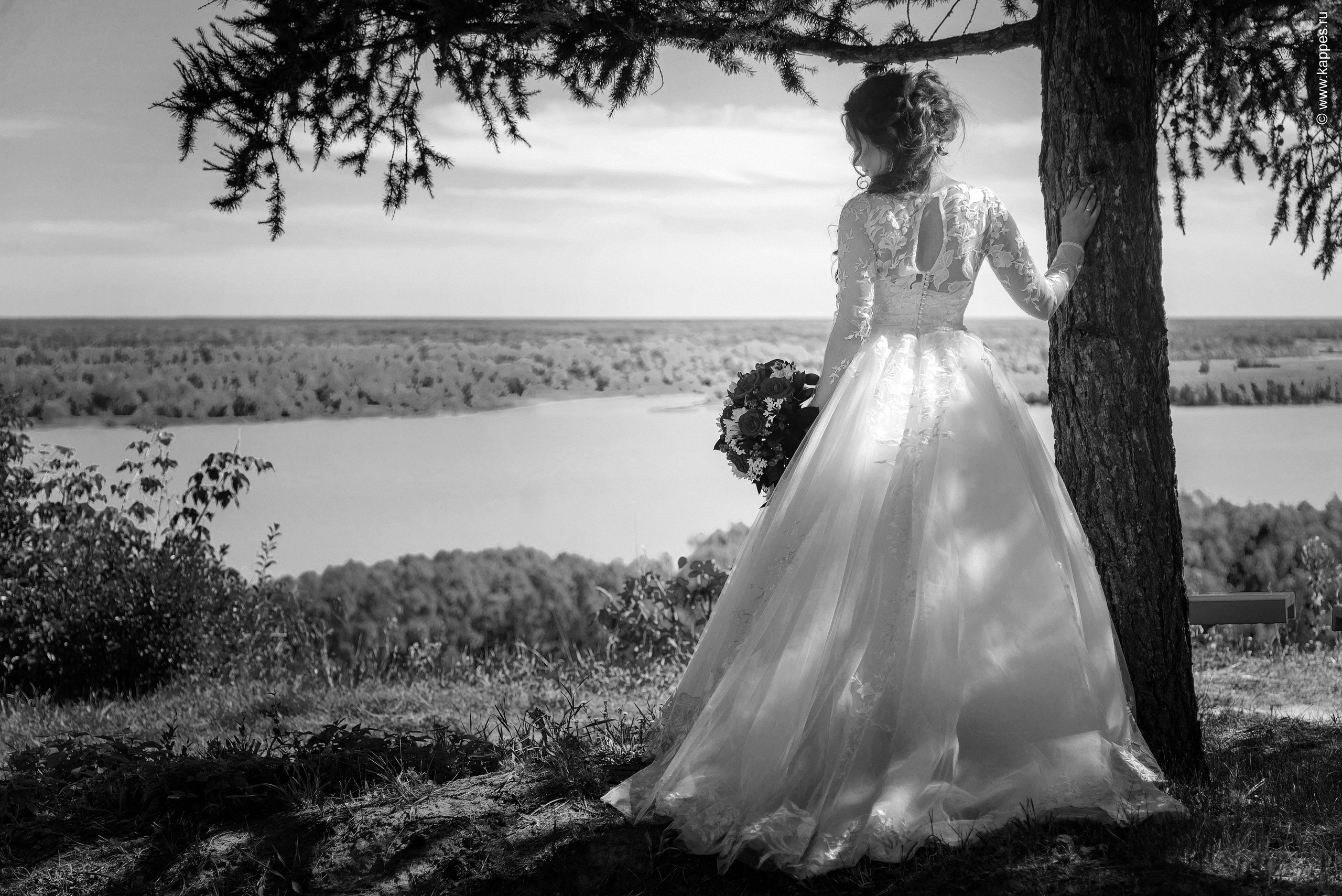 Свадебный фотограф Барнаул быстро. Фотограф Опыт Качество Скорость Горный Алтай Барнаул