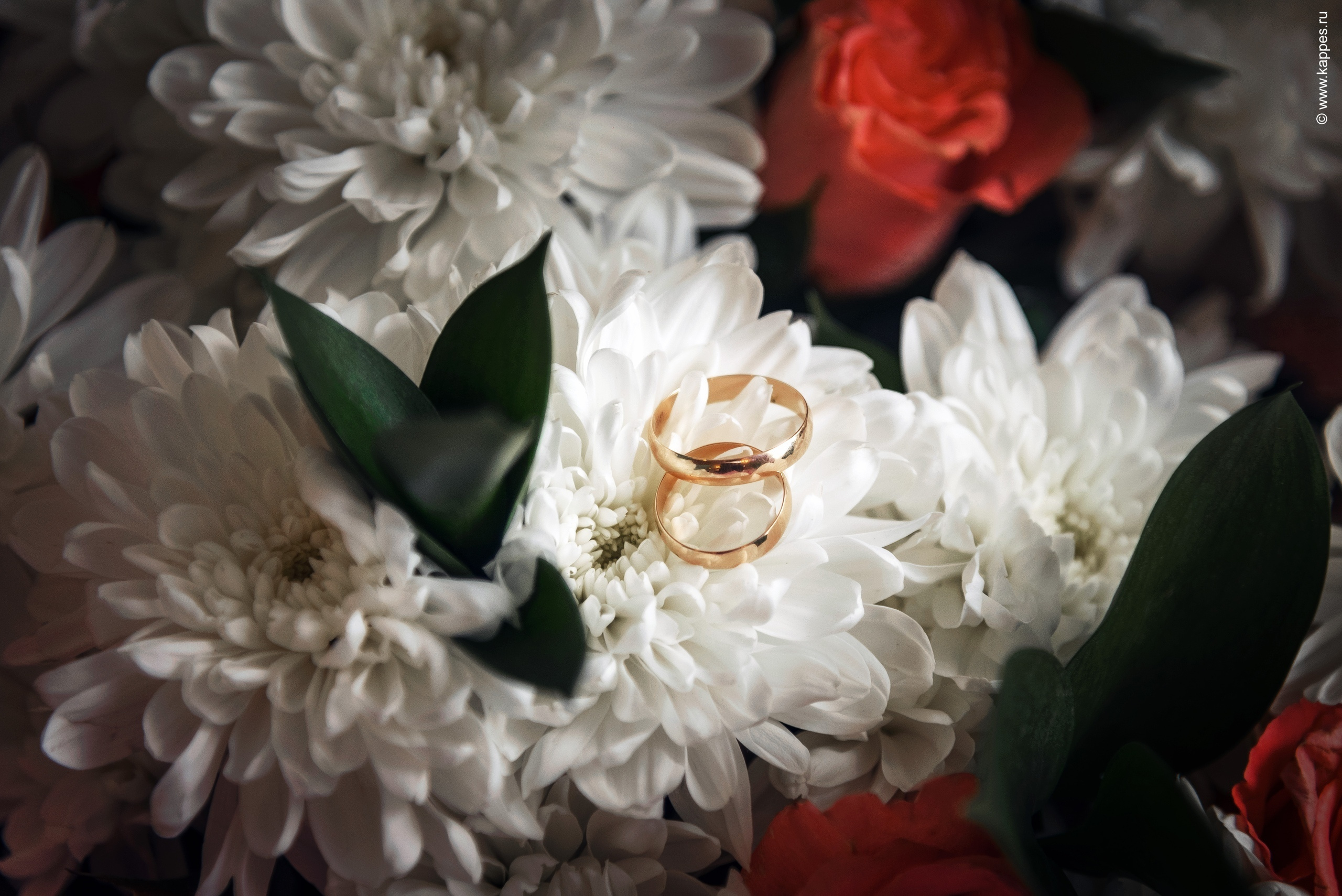 Жених и Невеста Барнаул. Фотограф Опыт Качество Скорость Горный Алтай Барнаул