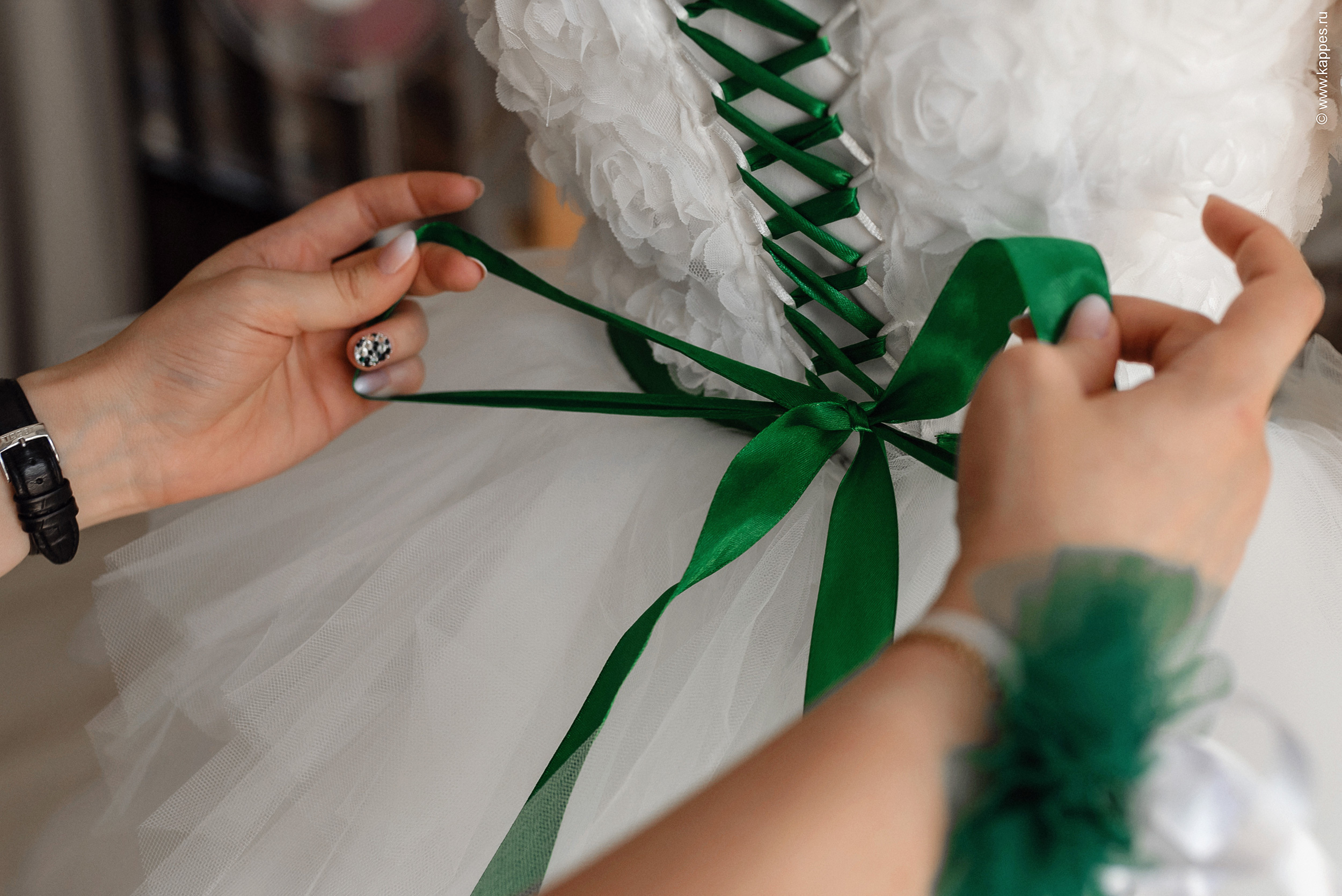 Фотограф на ваше торжество в Барнауле. Фотограф Опыт Качество Скорость Горный Алтай Барнаул