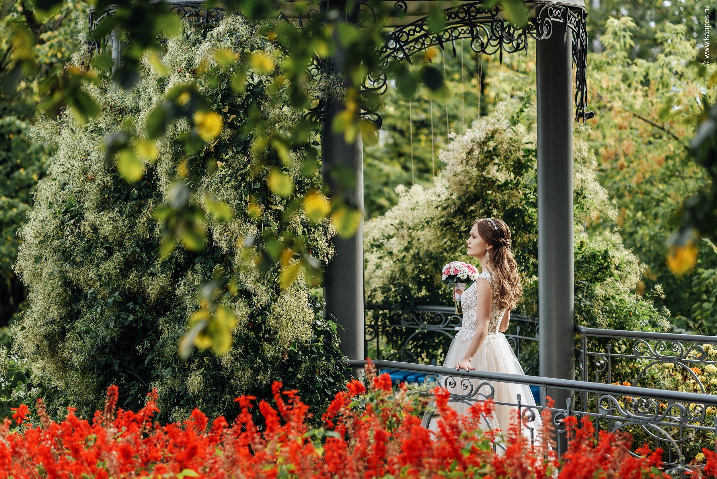 Свадебный фотограф Барнаул недорого. Фотограф Опыт Качество Скорость Горный Алтай Барнаул