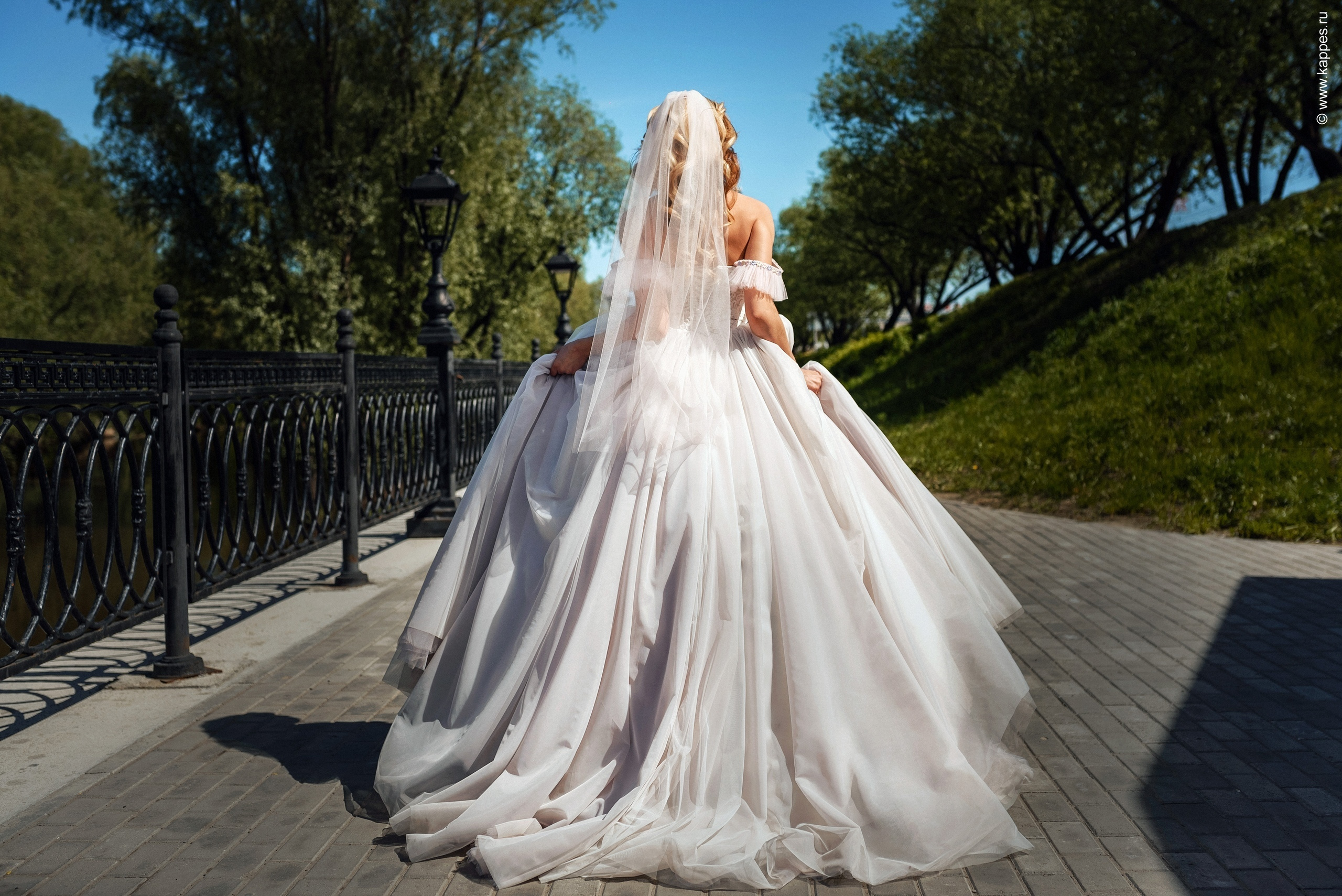 Жених и Невеста Барнаул. Фотограф Опыт Качество Скорость Горный Алтай Барнаул