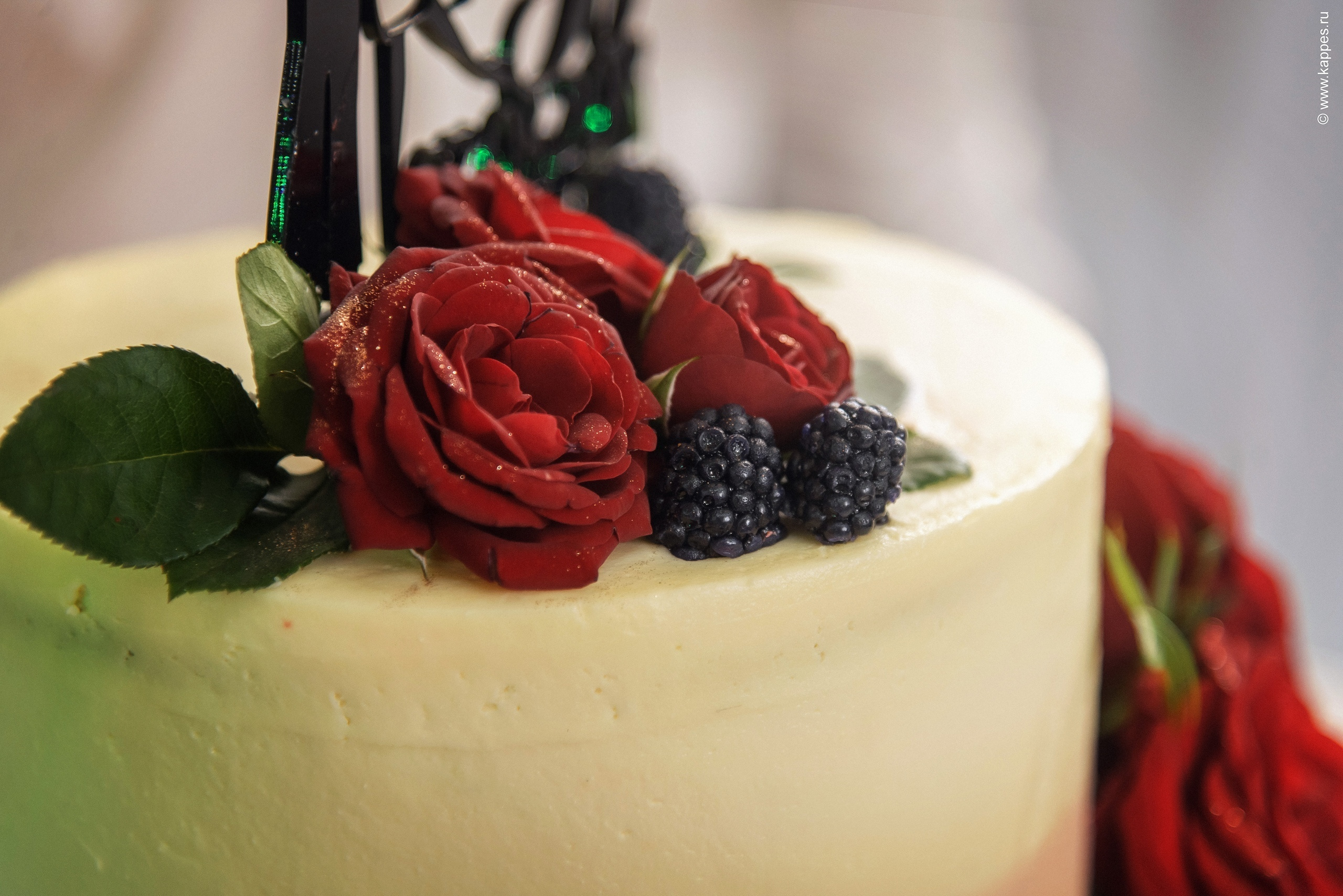 Свадебный фотограф Барнаул быстро. Фотограф Опыт Качество Скорость Горный Алтай Барнаул