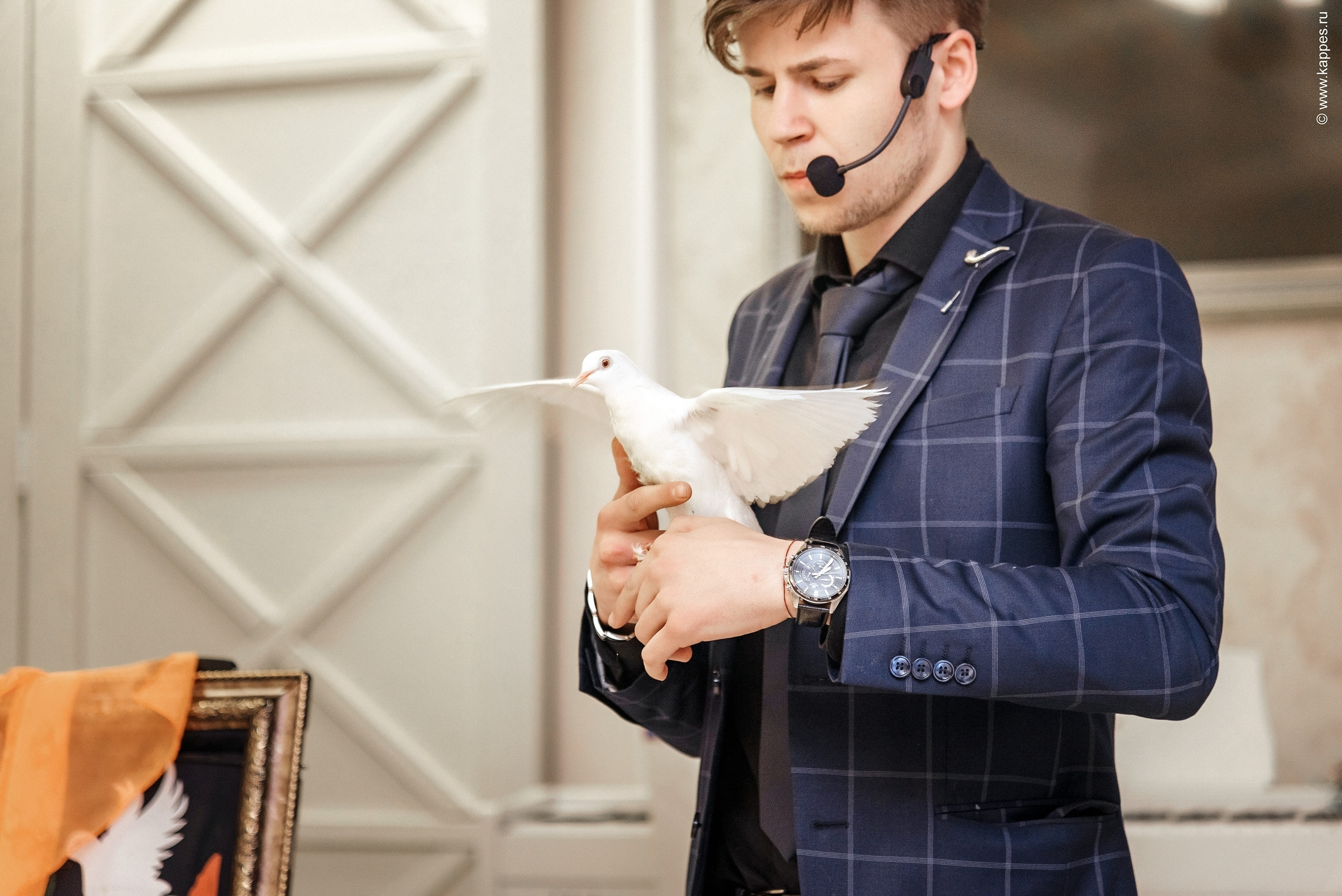 Жених и Невеста Барнаул. Фотограф Опыт Качество Скорость Горный Алтай Барнаул