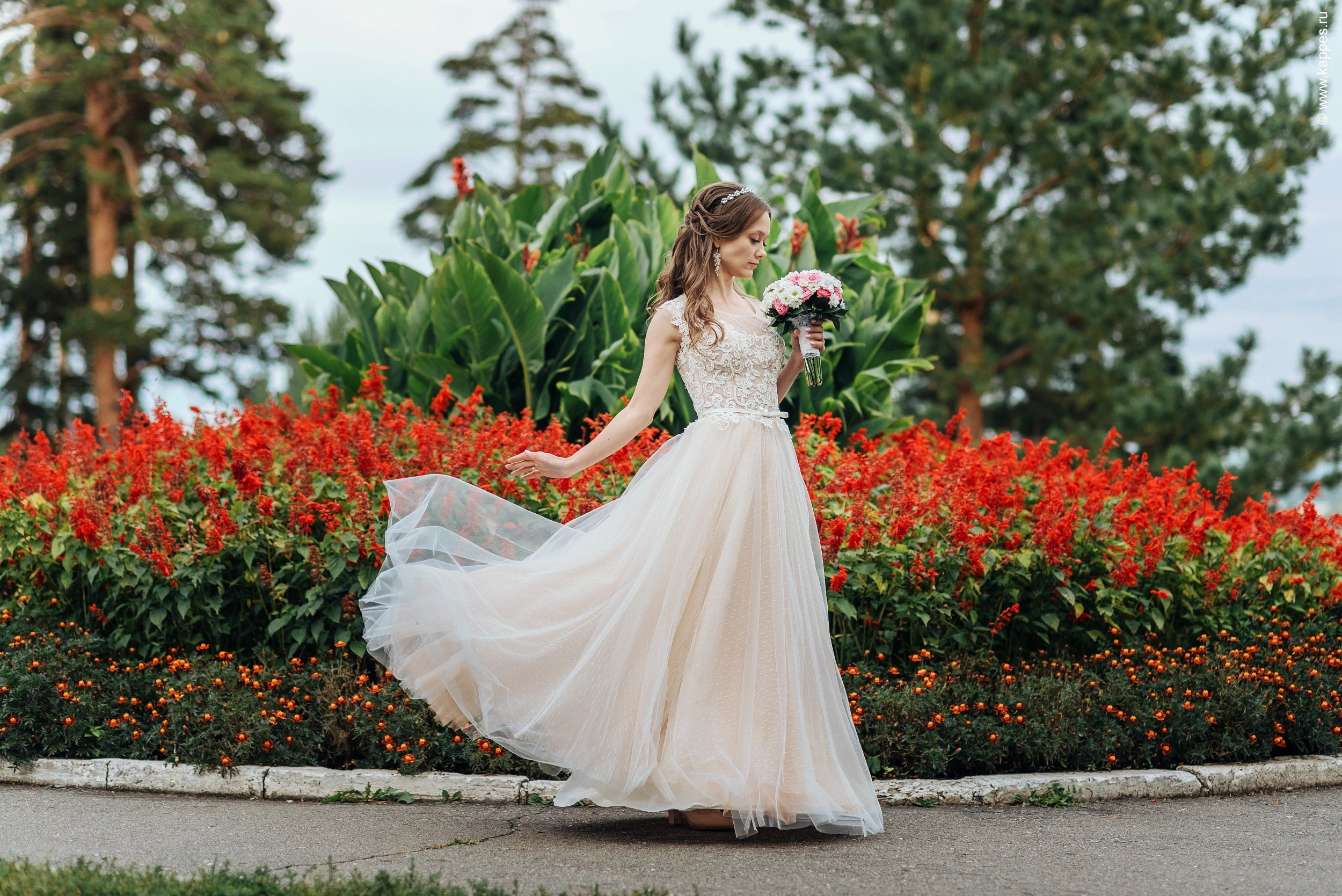 Свадебный фотограф Барнаул недорого. Фотограф Опыт Качество Скорость Горный Алтай Барнаул