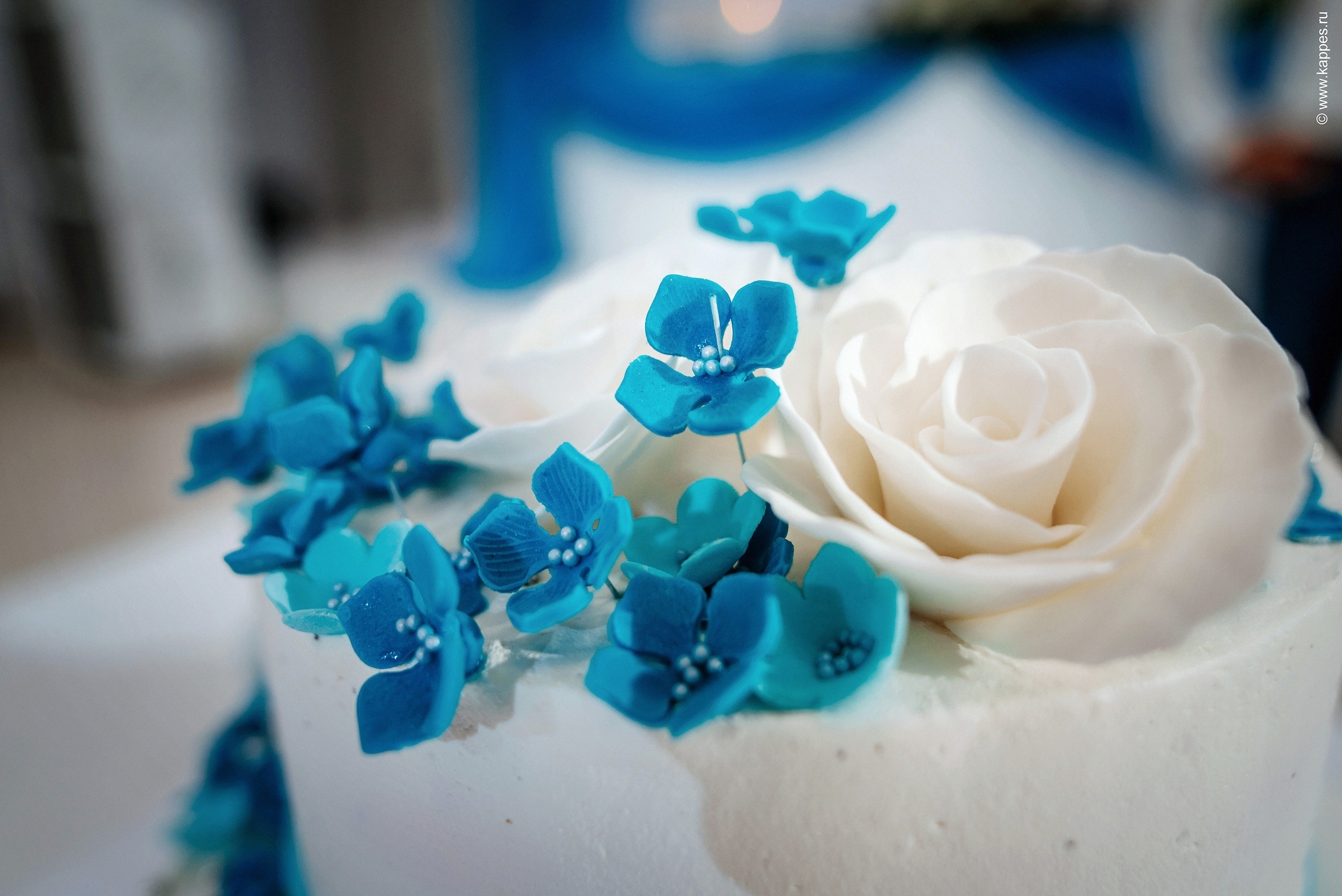 Свадебный фотограф Барнаул дорого. Фотограф Опыт Качество Скорость Горный Алтай Барнаул