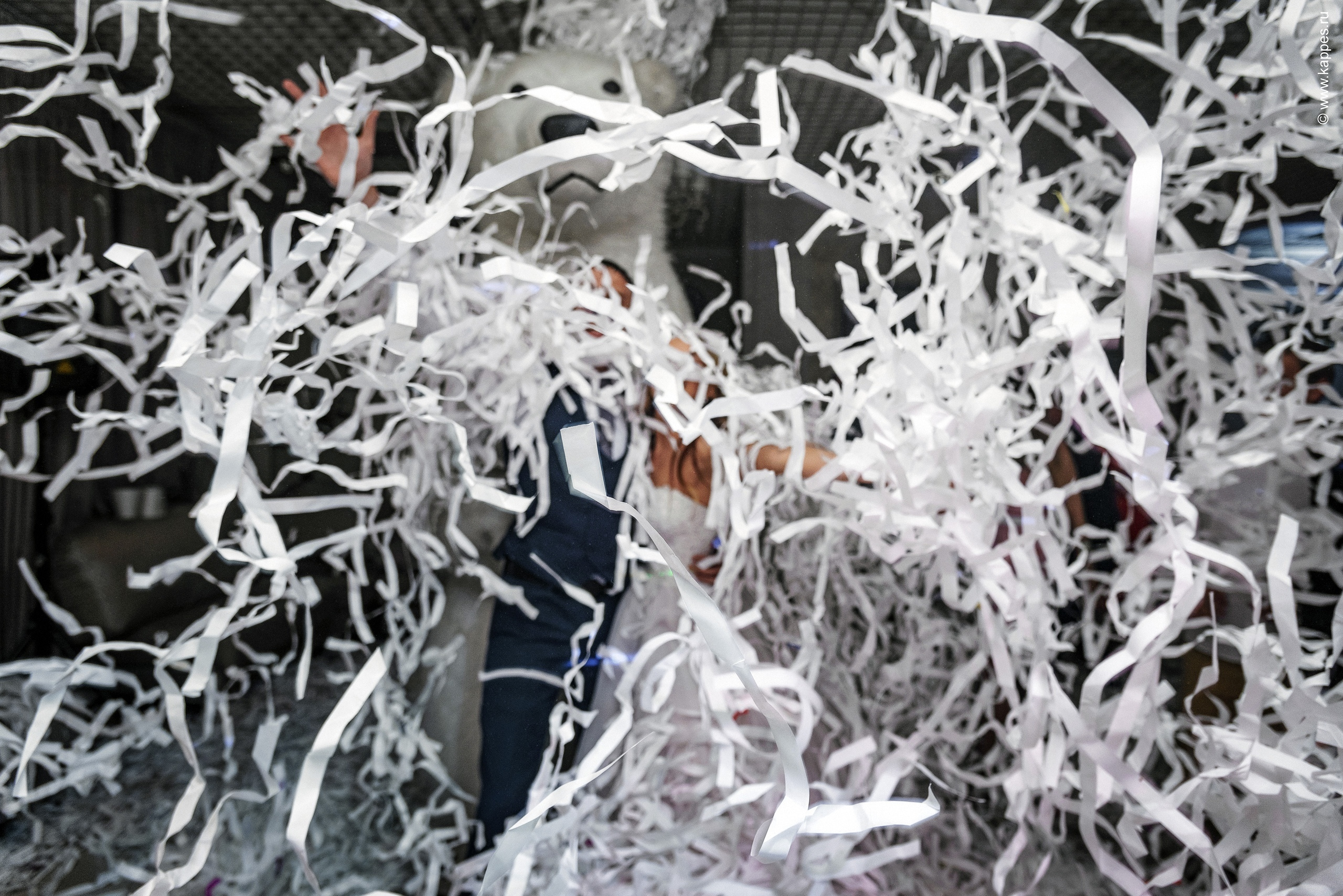 Жених и Невеста Барнаул. Фотограф Опыт Качество Скорость Горный Алтай Барнаул