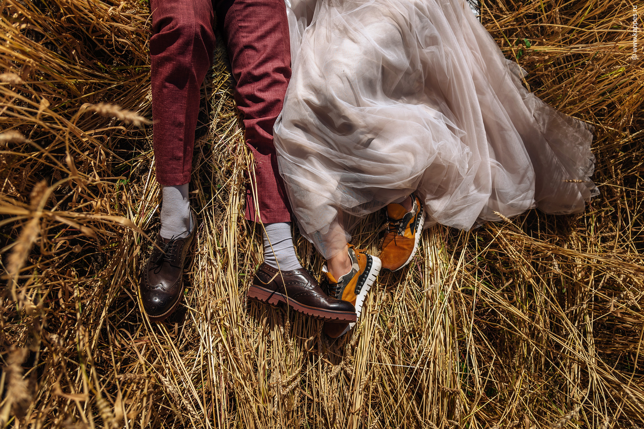 Свадьба пары молодожены Барнаул. Фотограф Опыт Качество Скорость Горный Алтай Барнаул