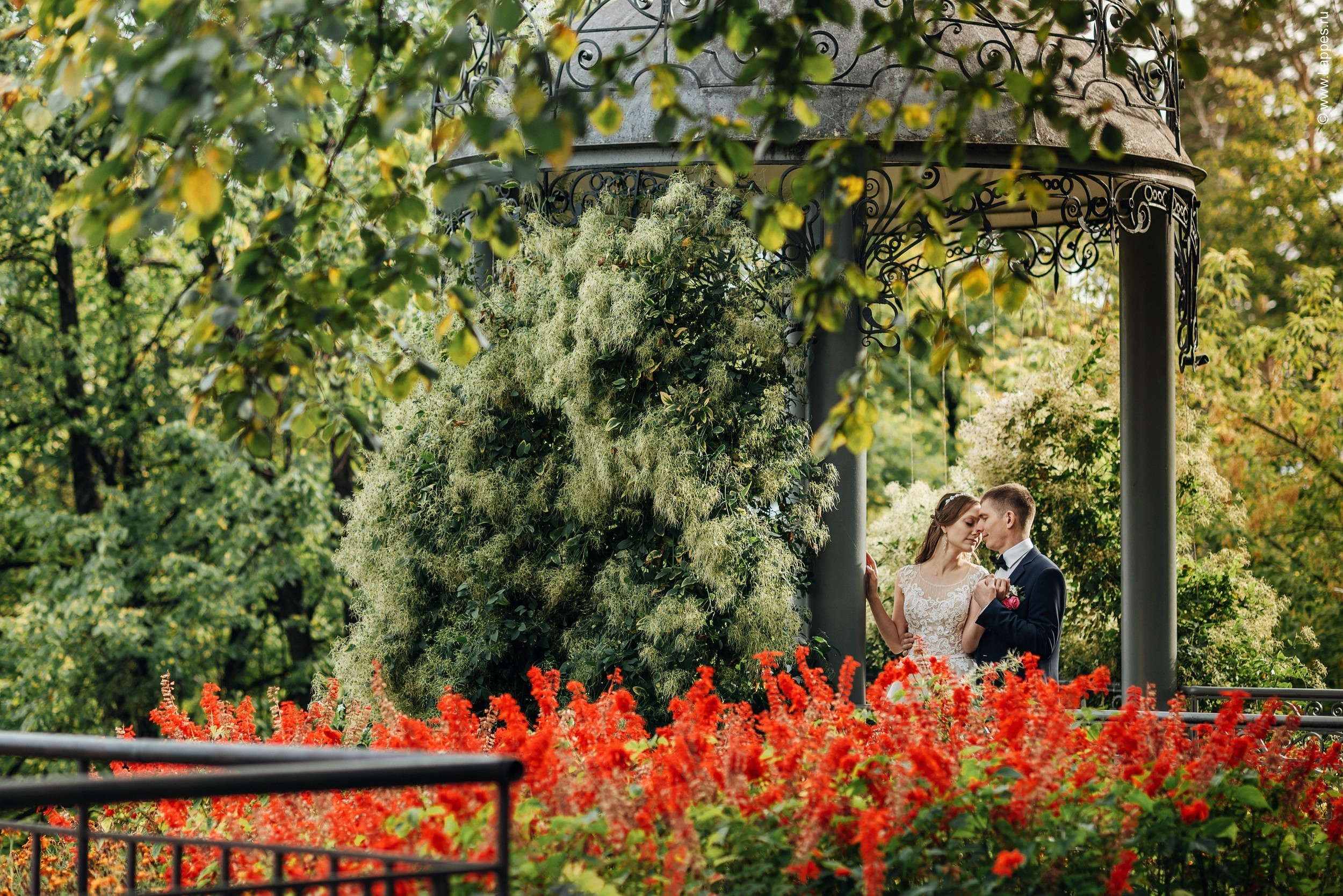 Свадебный фотограф Барнаул недорого. Фотограф Опыт Качество Скорость Горный Алтай Барнаул