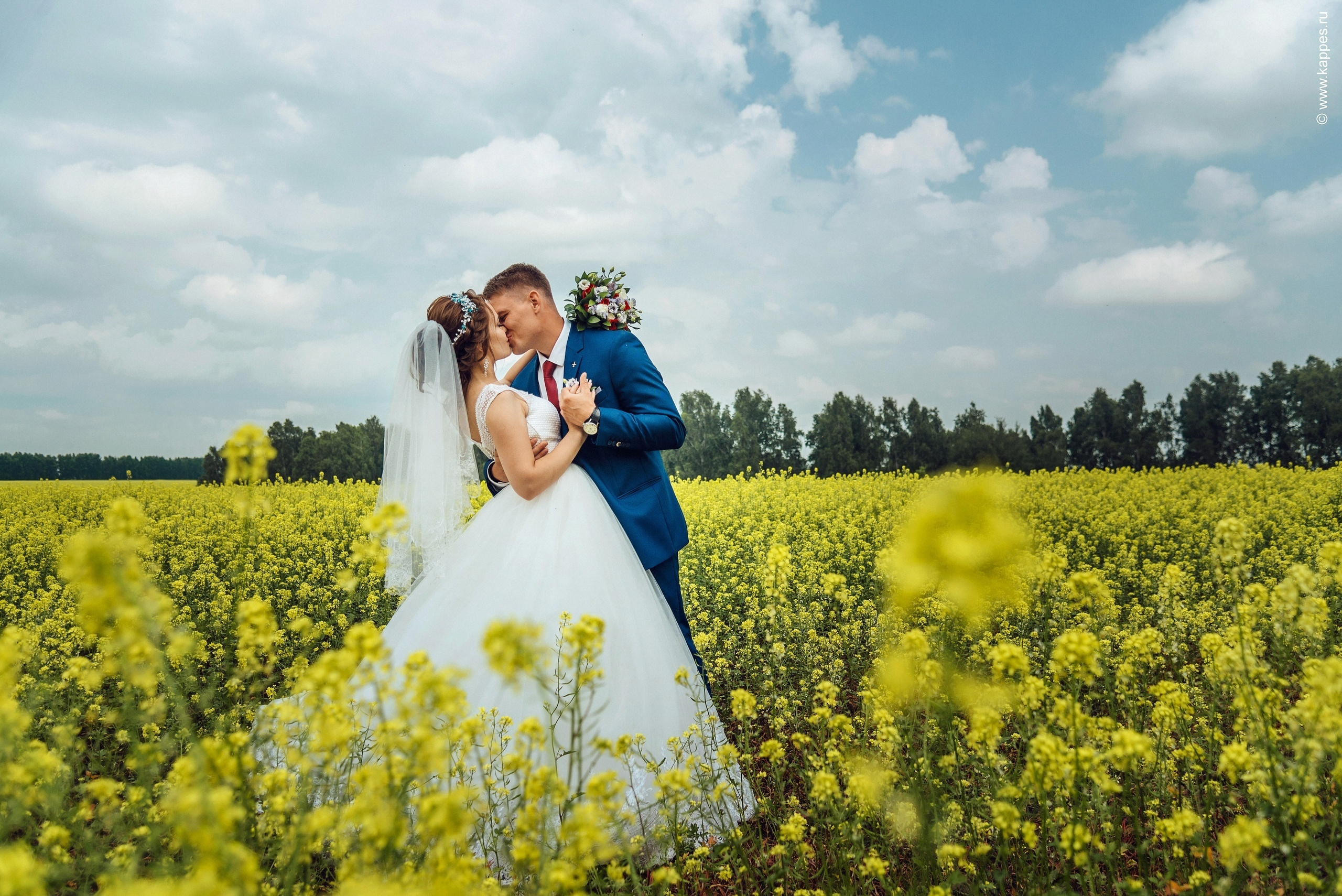 Свадебный фотограф Барнаул дорого. Фотограф Опыт Качество Скорость Горный Алтай Барнаул