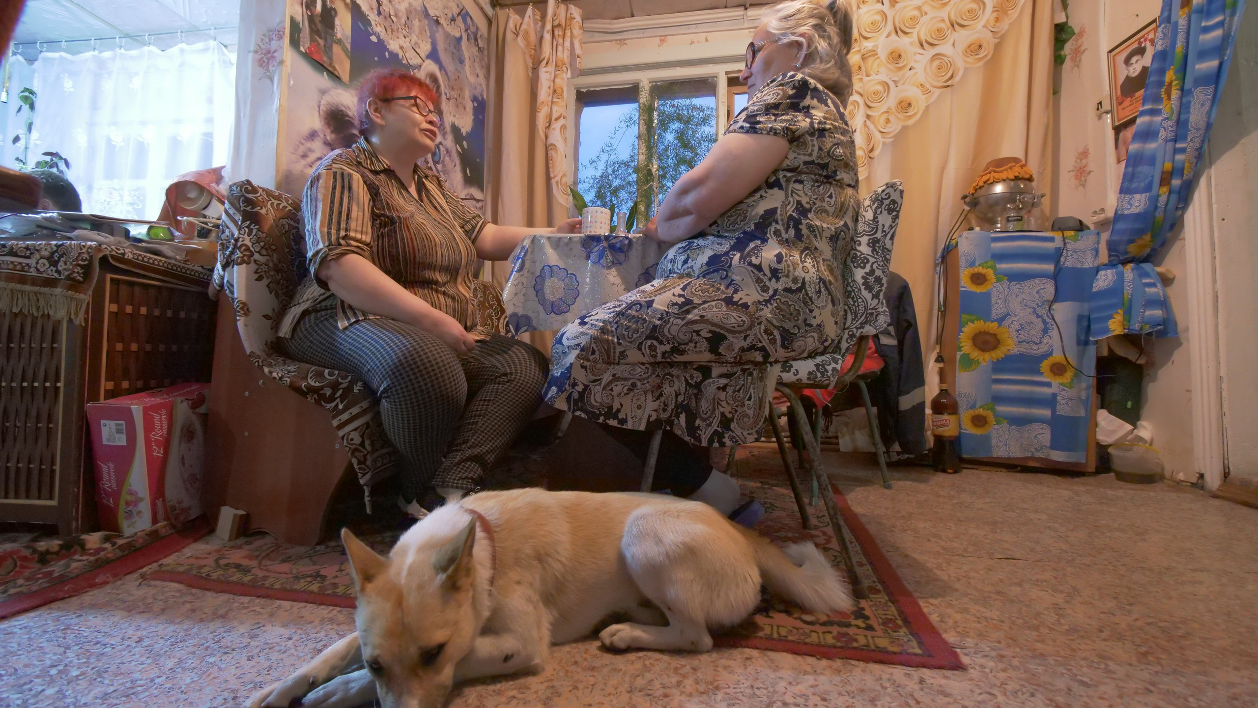 Амдерма — наука (2020 г.). Фотоальбом показывающий увлекательный мир авиации и мир медведей Андрея Иванова