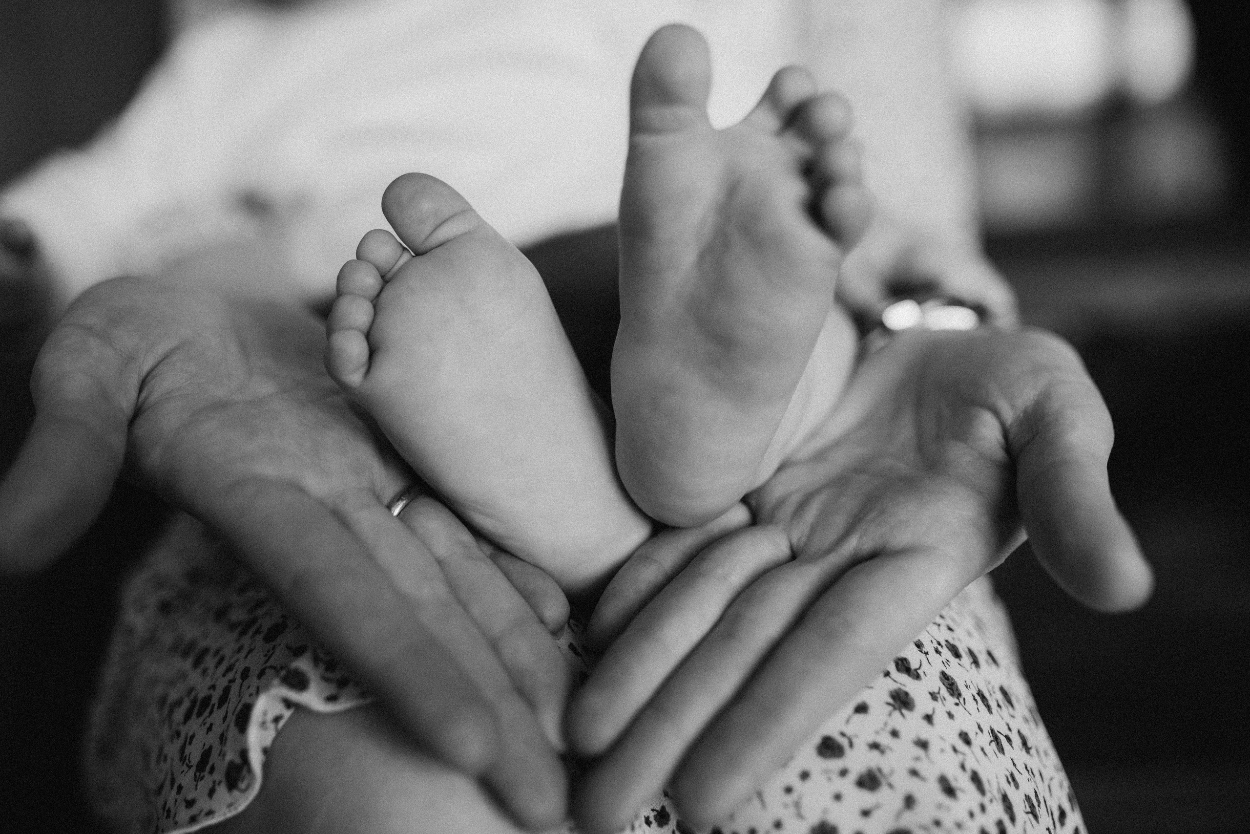 Пашка. Фотограф в Калининграде Дмитрий Мишин