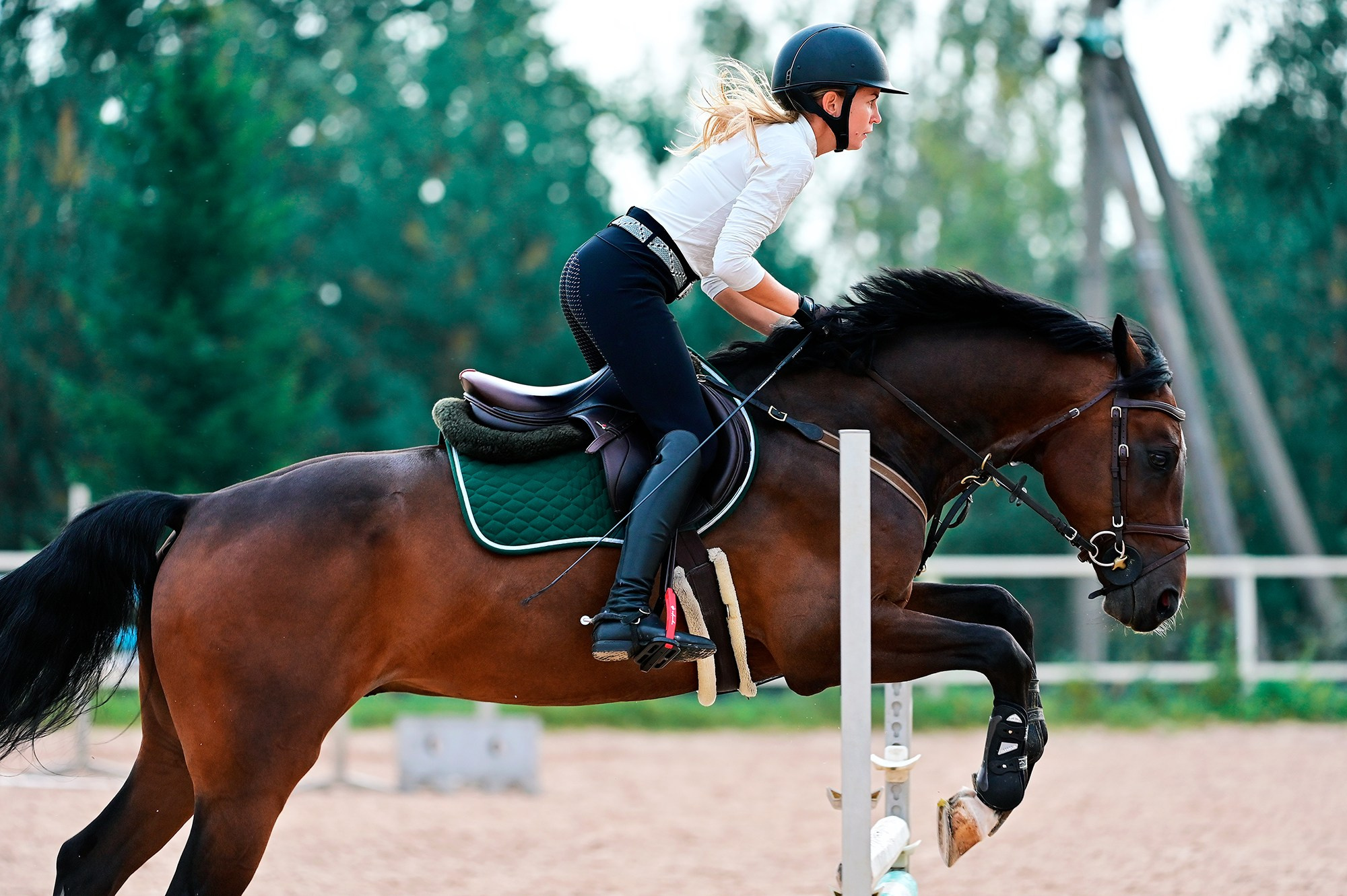 Тренировки. Конный фотограф Alesya Safe
