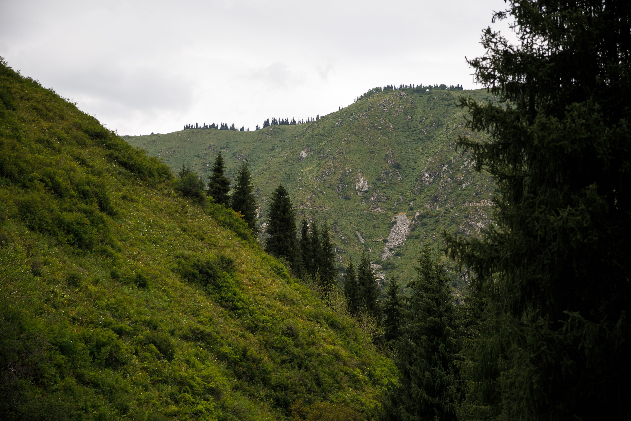Казахстан / июль 2024. Репортажный и портретный фотограф Русакова Жанна