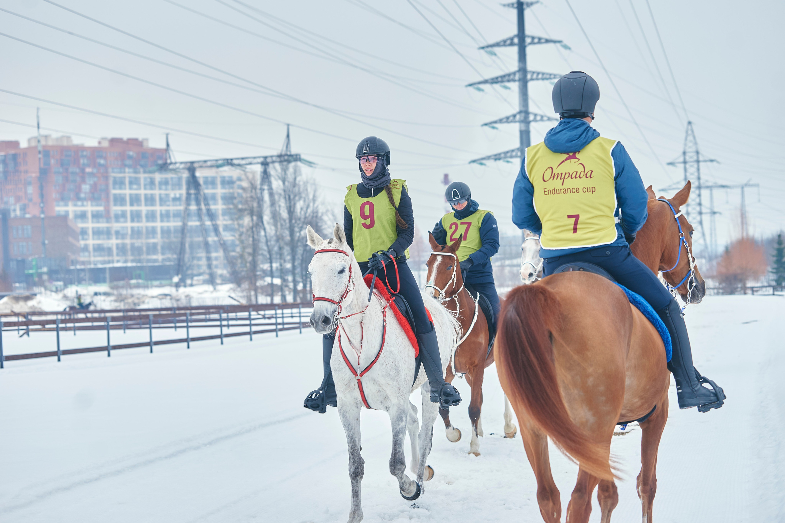 HORSE RACING. Фотограф Наталья Леонова