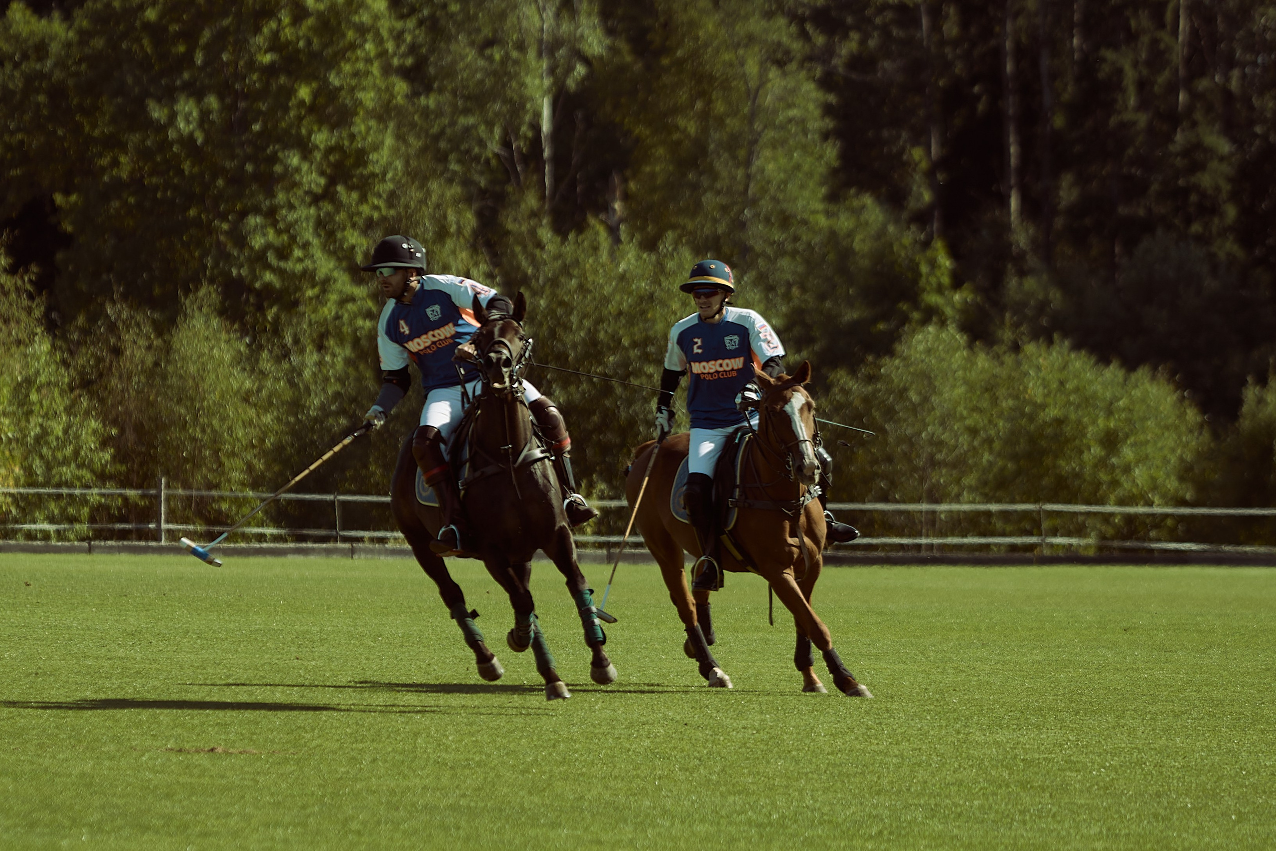 HORSE POLO. Фотограф Наталья Леонова