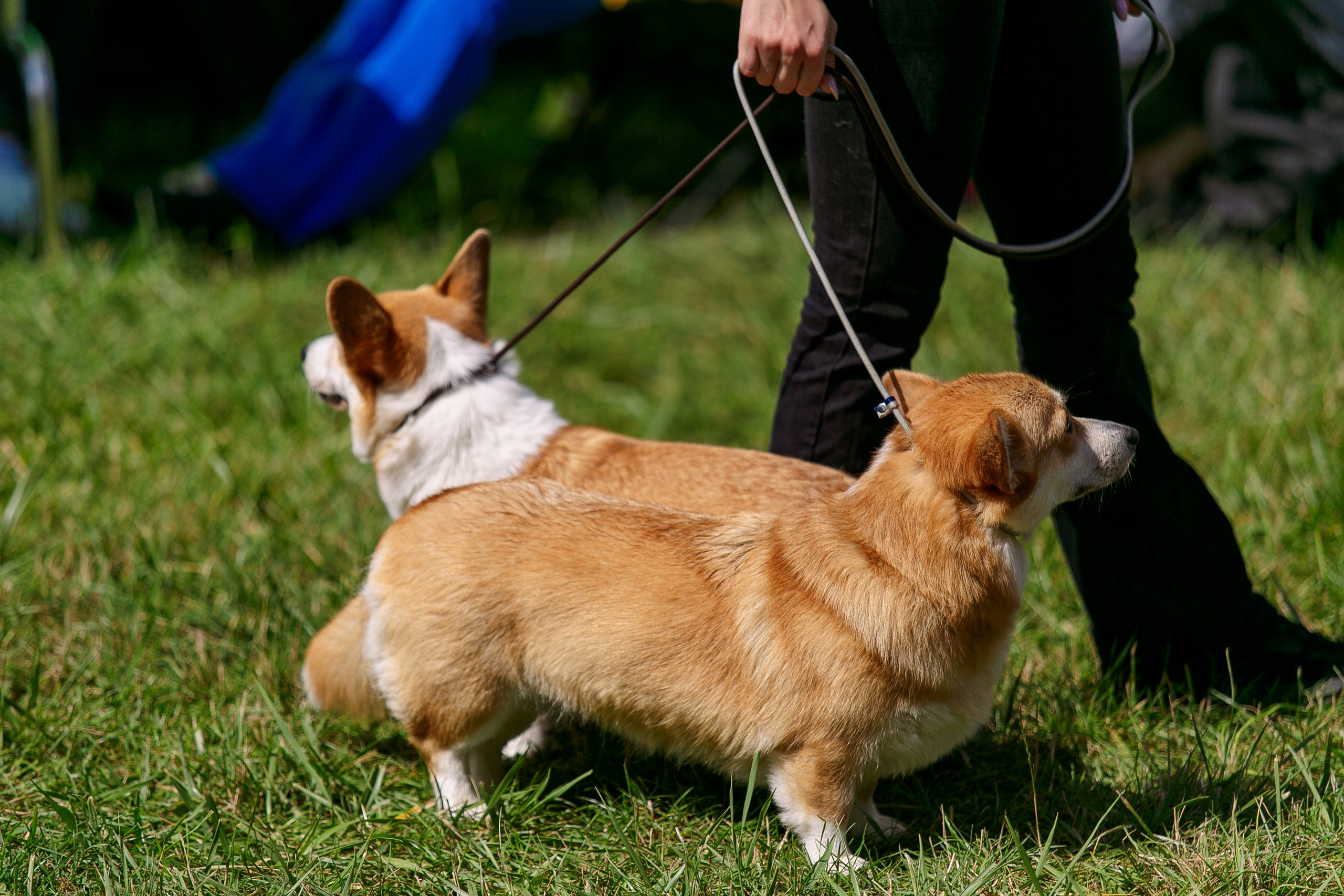 Окунулась вновь в атмосферу выставки…. Школьный фотограф в Туле Светлана Привезенцева