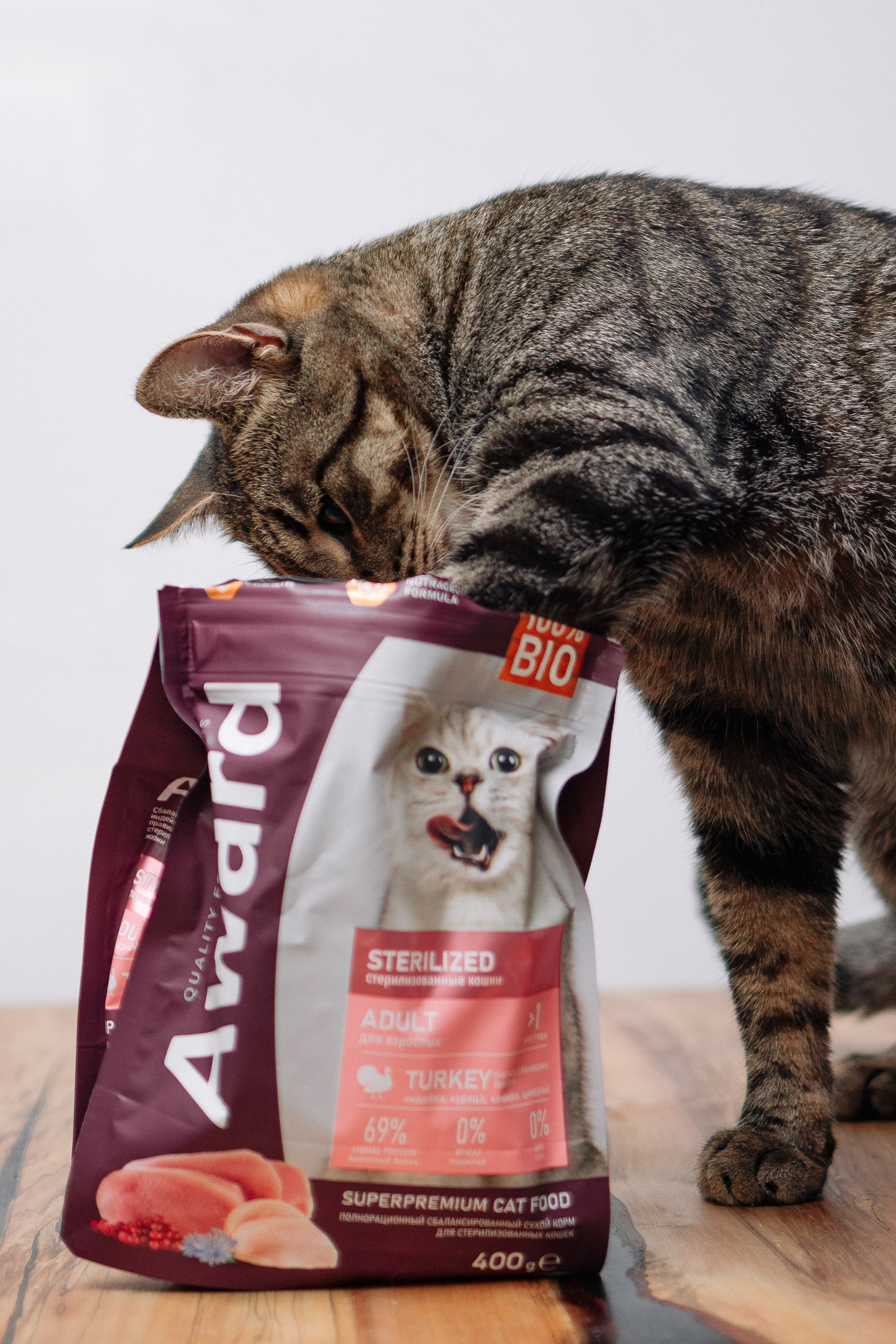 Благотворительная съемка животных. Предметный фотограф в Москве Дарья Радькович