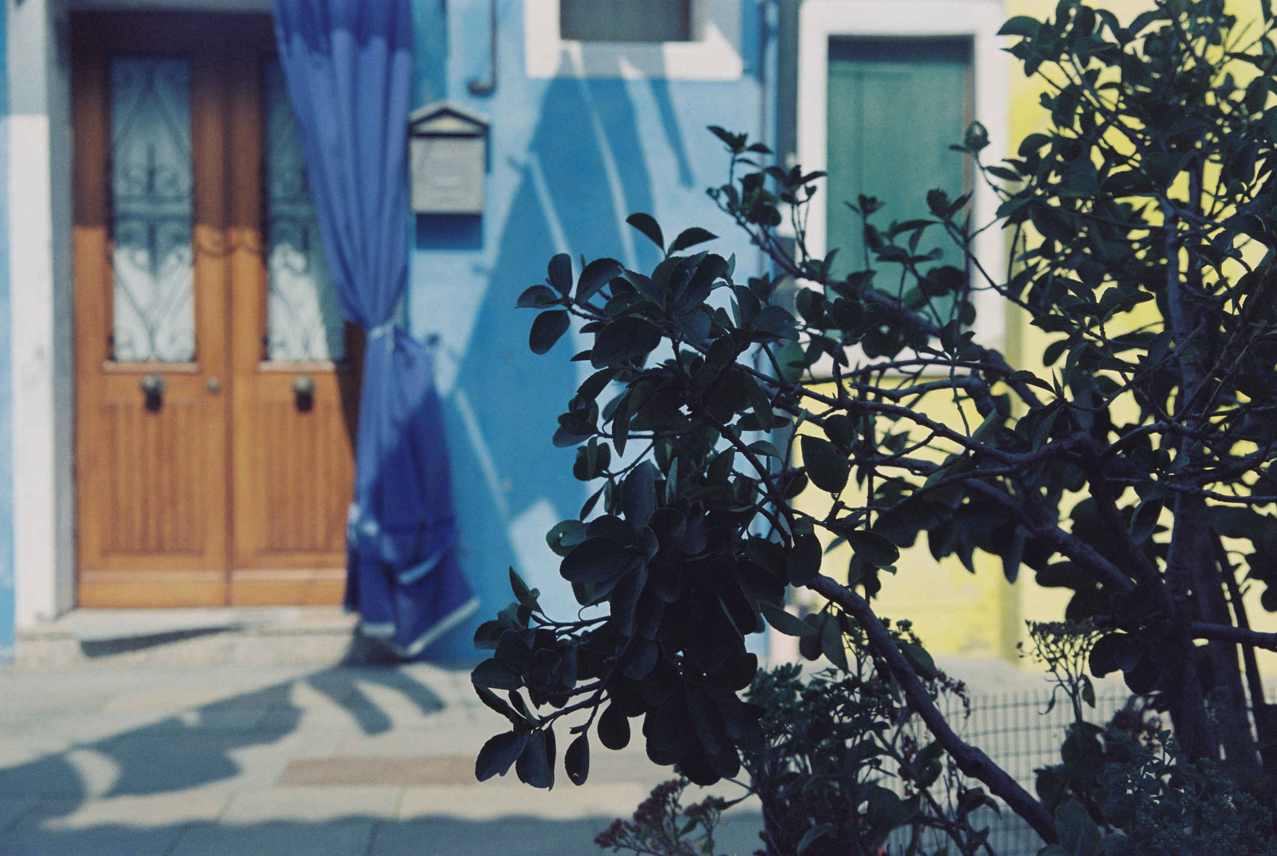 Film. Photographer, Masha Berliner