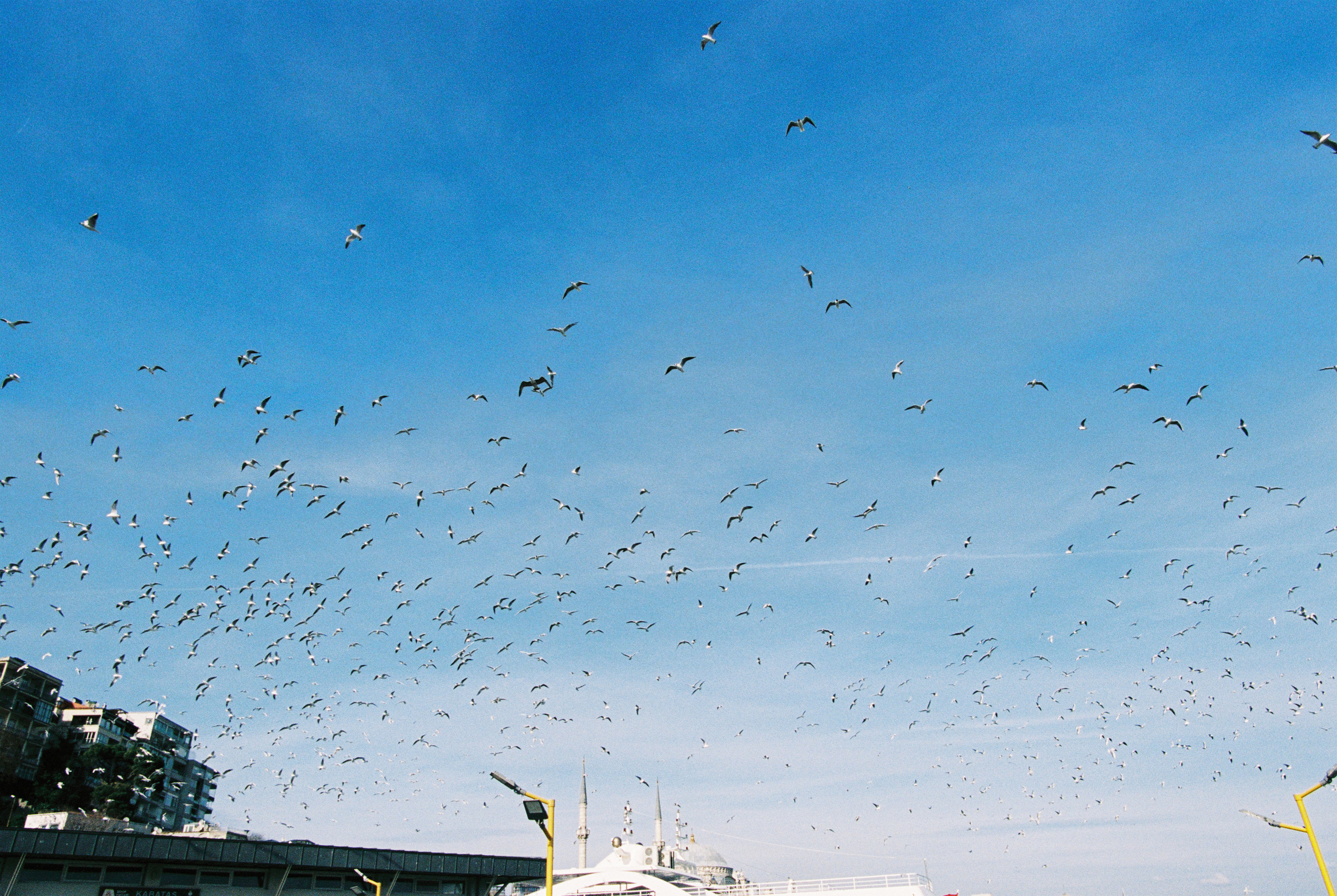 Film. Photographer, Masha Berliner