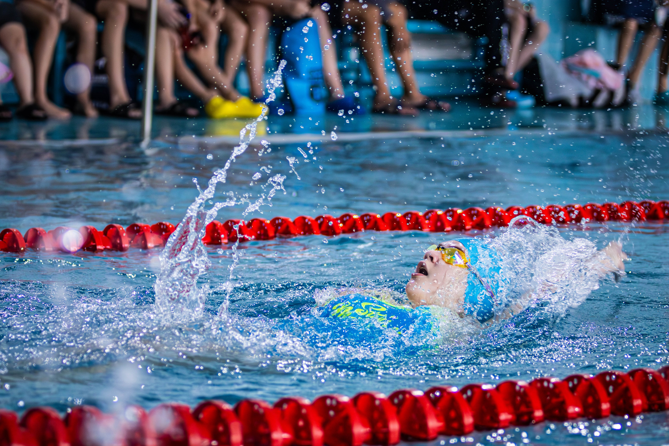 Фотосессия соревнований по плаванию в Пушкино Московской области
