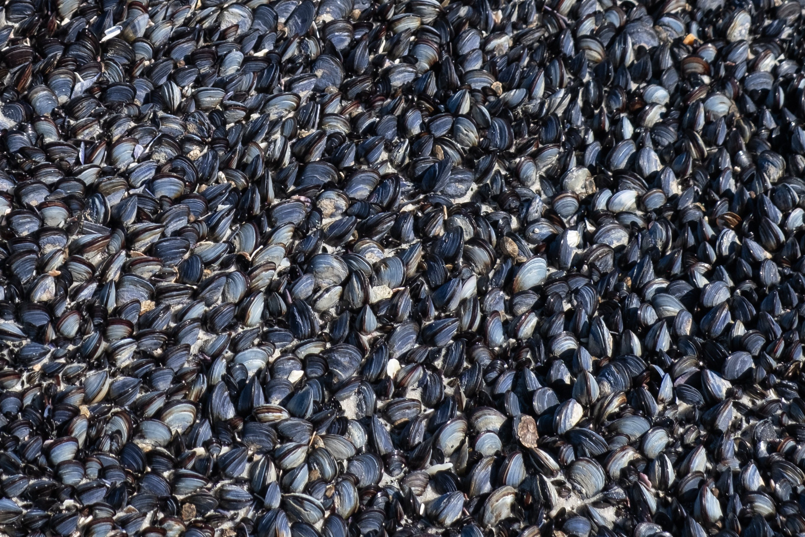 Мыс надежды. Фотографии из путешествий