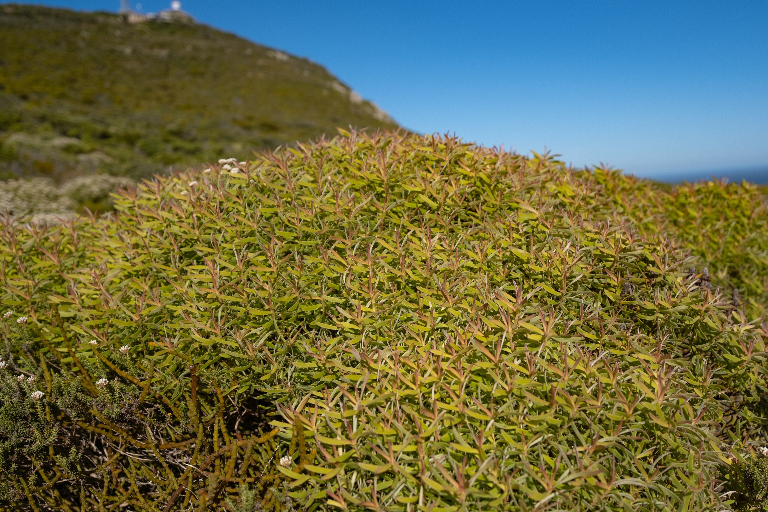 Мыс надежды. Фотографии из путешествий