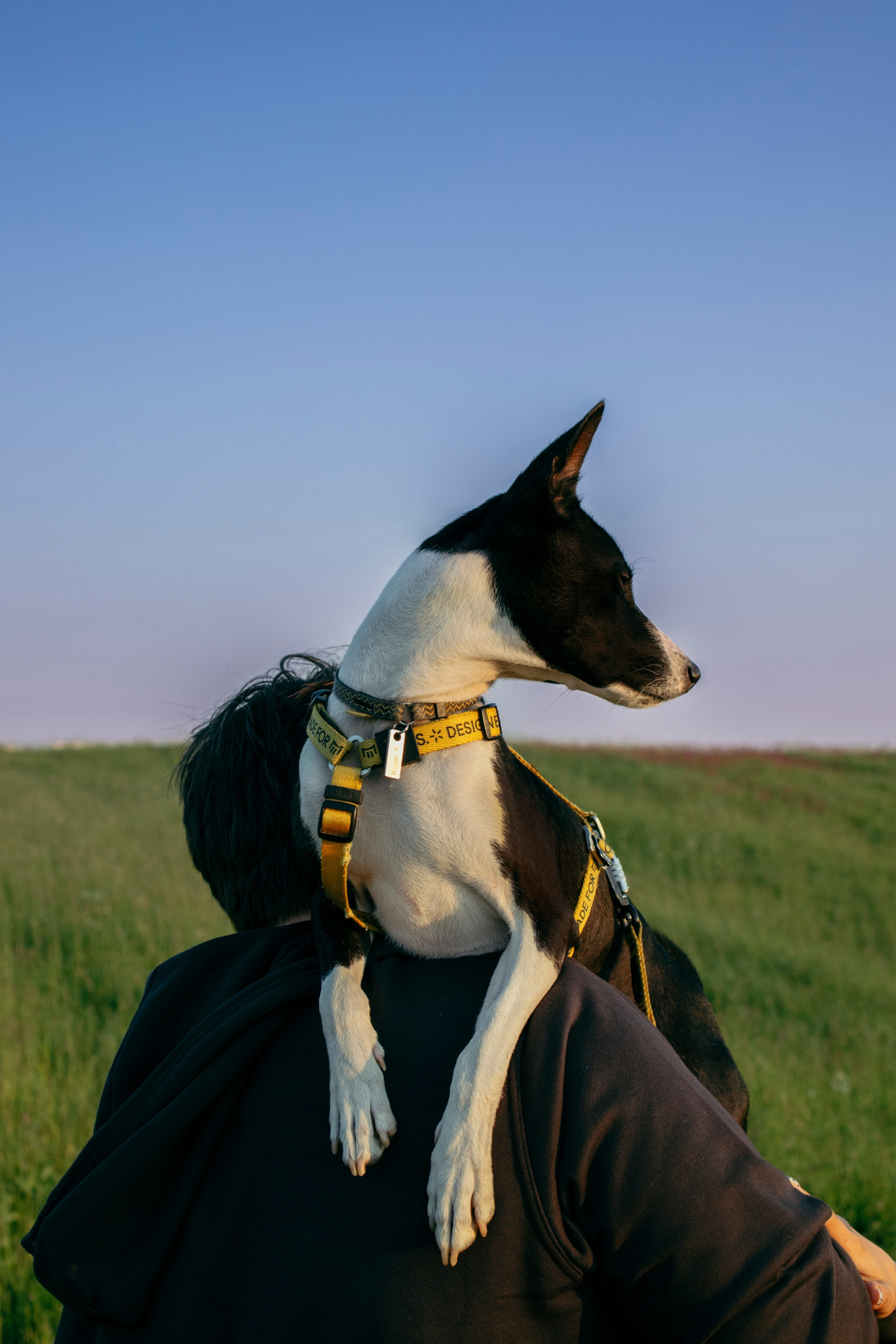 Итачи и его семья 🐾. Фотограф-анималист в Санкт-Петеребурге Титова Алиса