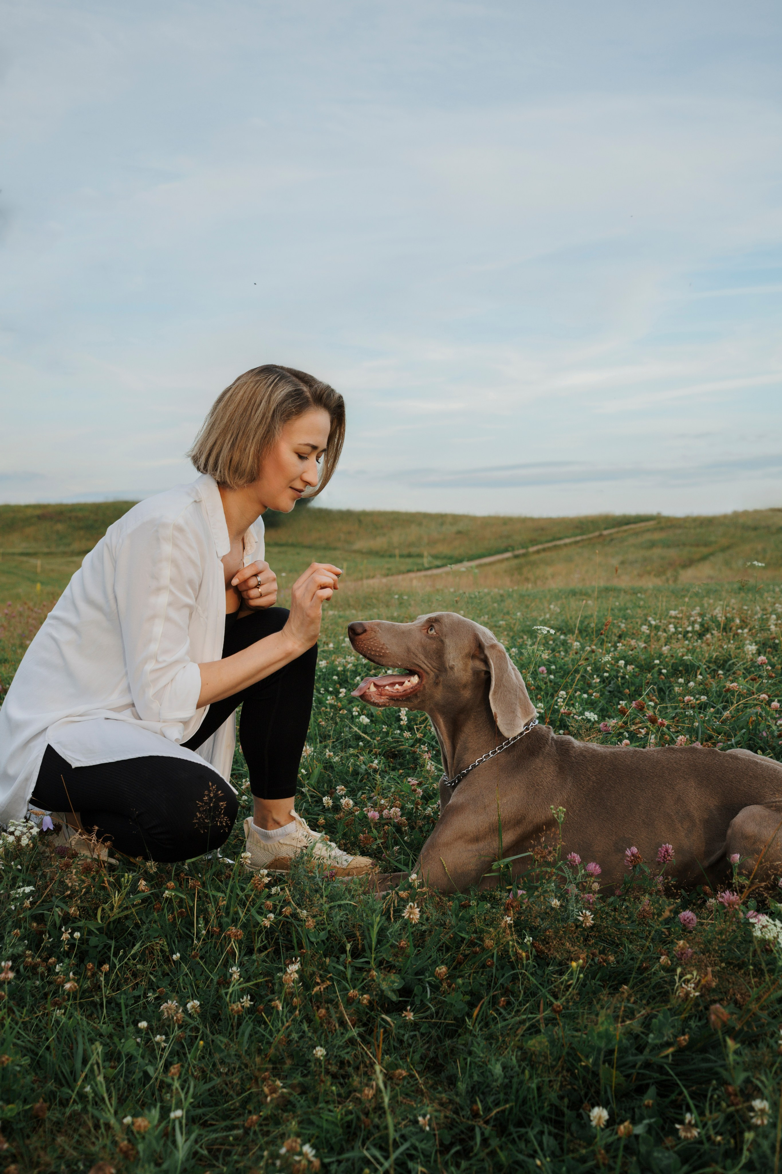 Маргарита и веймаранеры. Фотограф-анималист в Санкт-Петеребурге Титова Алиса