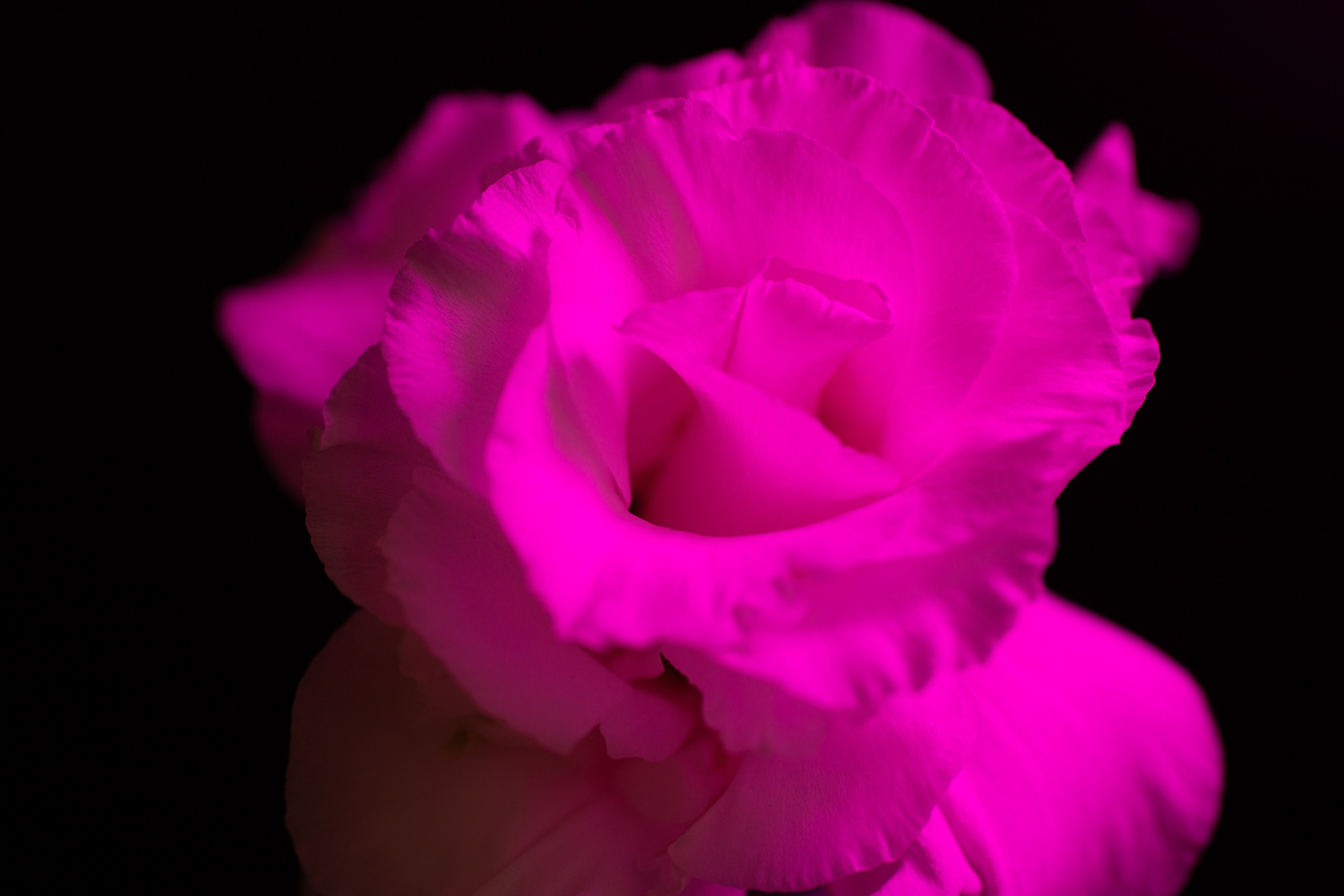 Макро. Фотографирую мир