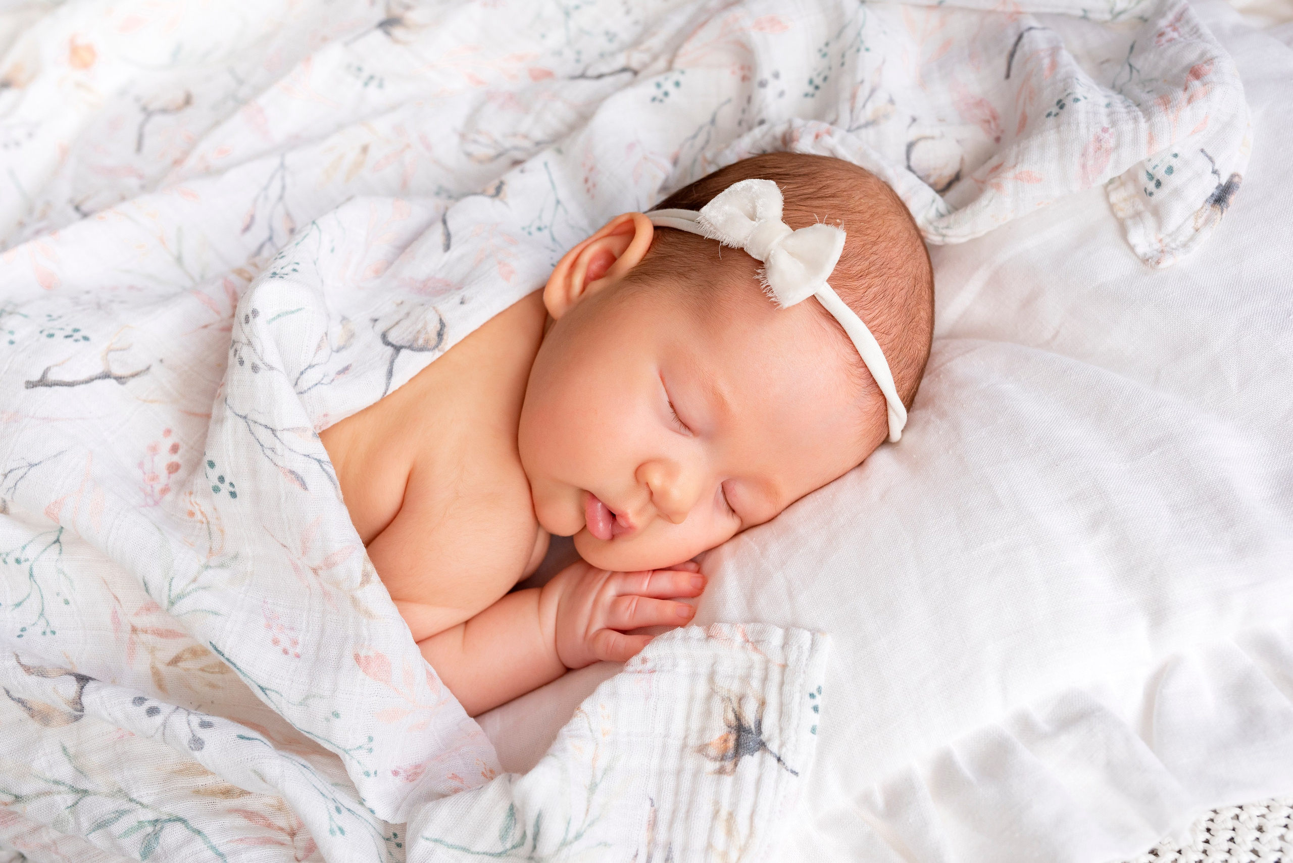 Аврора (3 месяца)