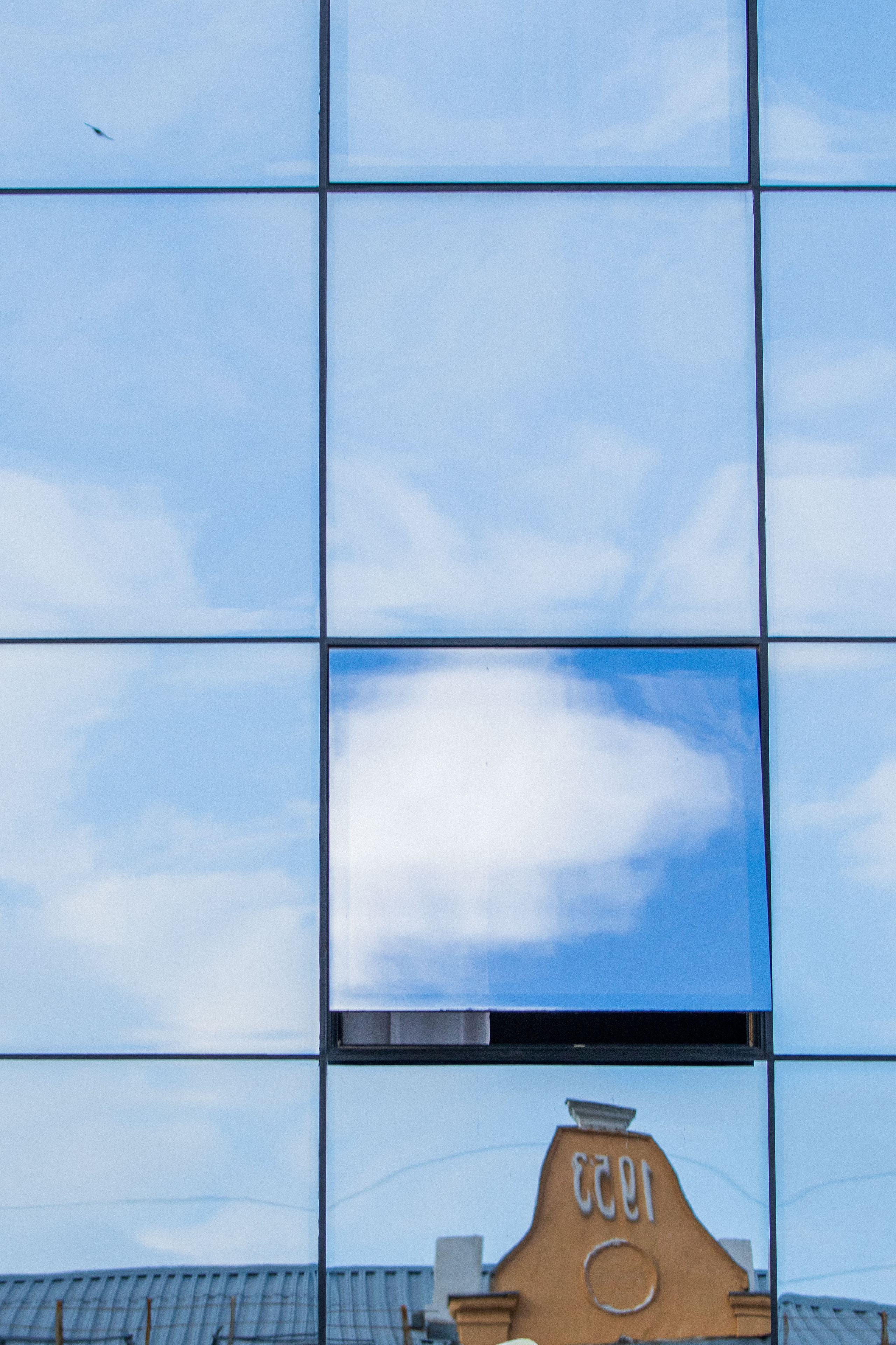 Автор: Елизавета Иванова