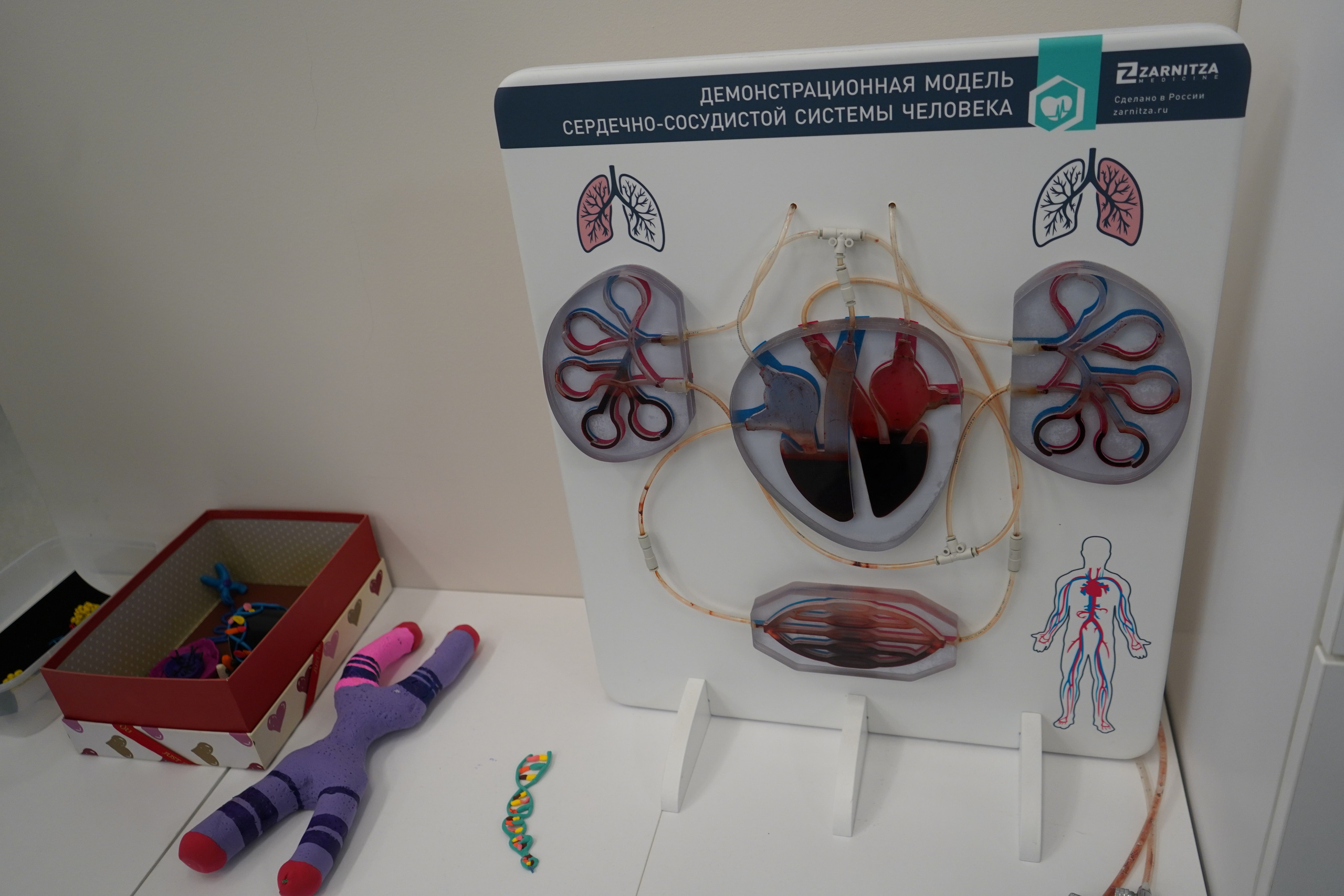 Форум-фестиваль «ПРОдвижение ЗОЖ». Галерея ПрофАС