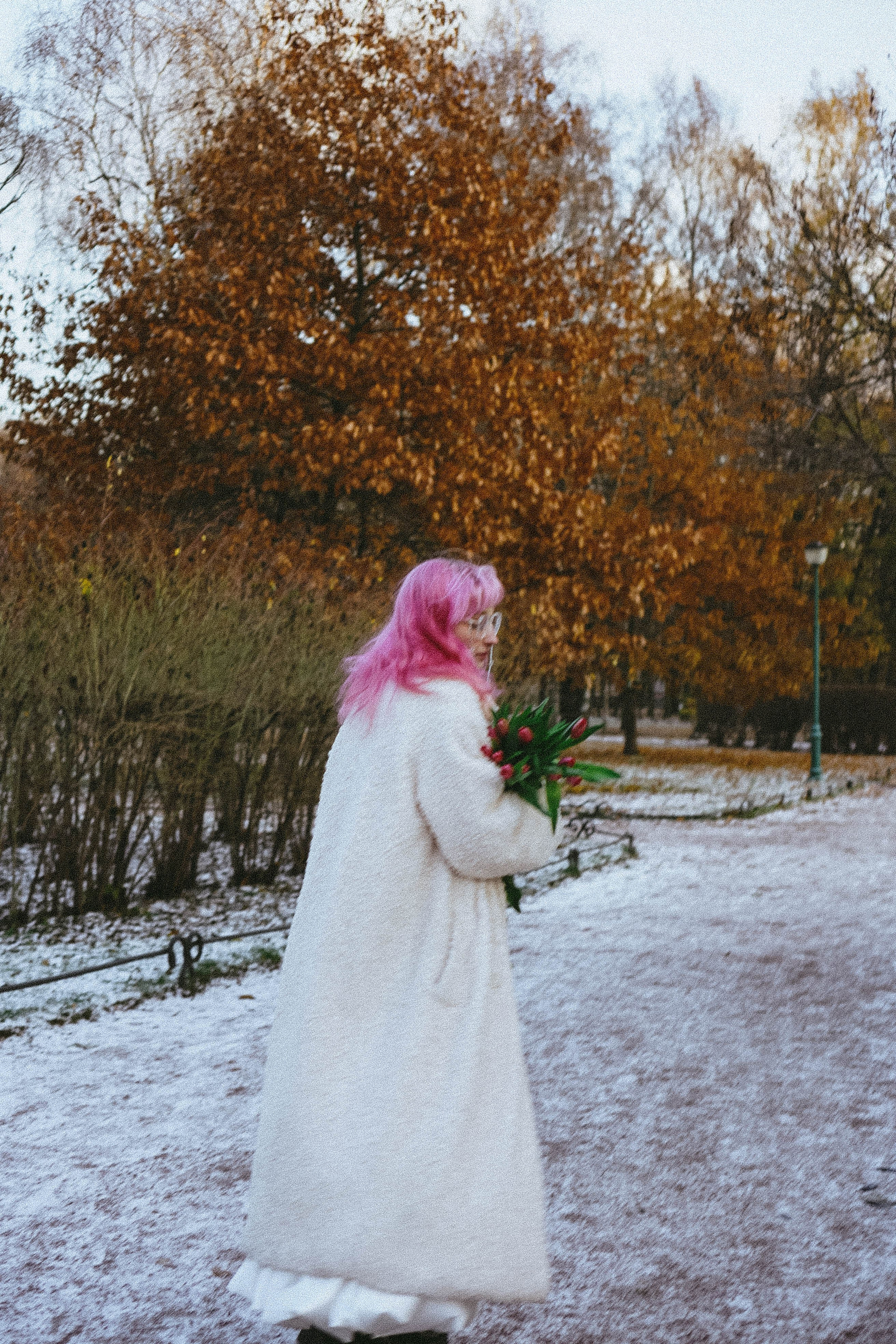 Тюльпаны. Профессиональный фотограф, Санкт-Петербург — Виктория Богомолова