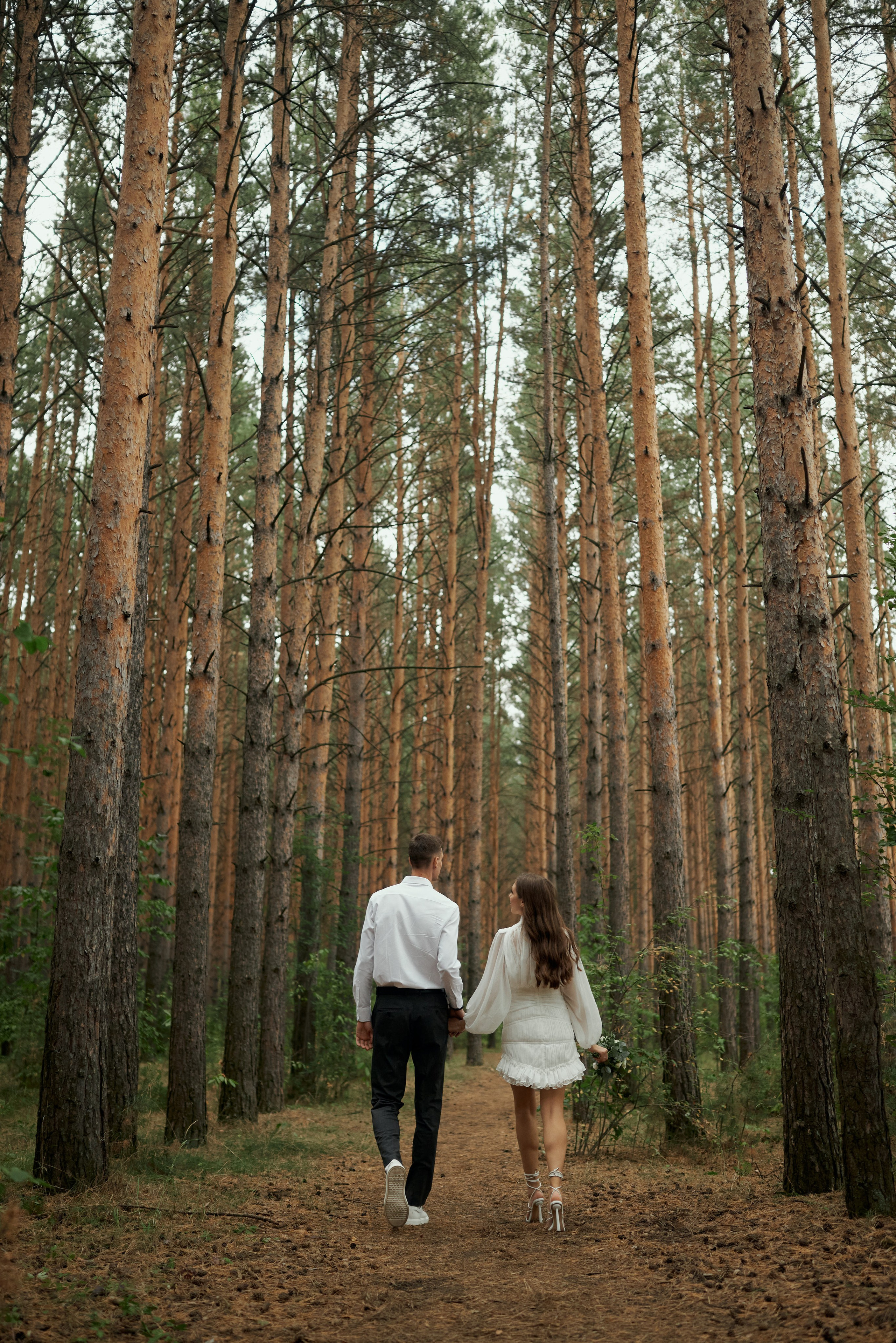 Сосновый лес. Свадебный фотограф Александр Браво