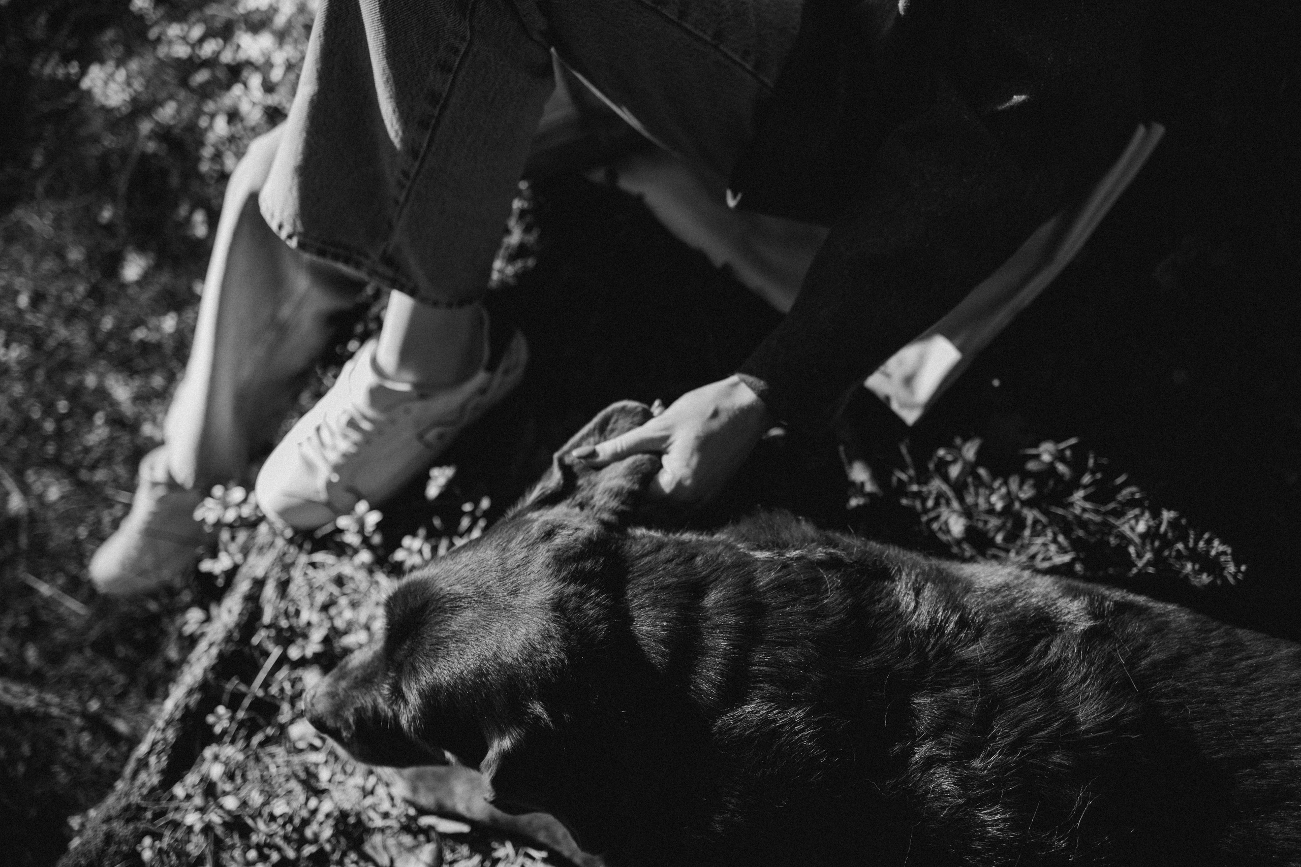 Оля и Питоня. Фотограф — Анималист | Санкт-Петербург