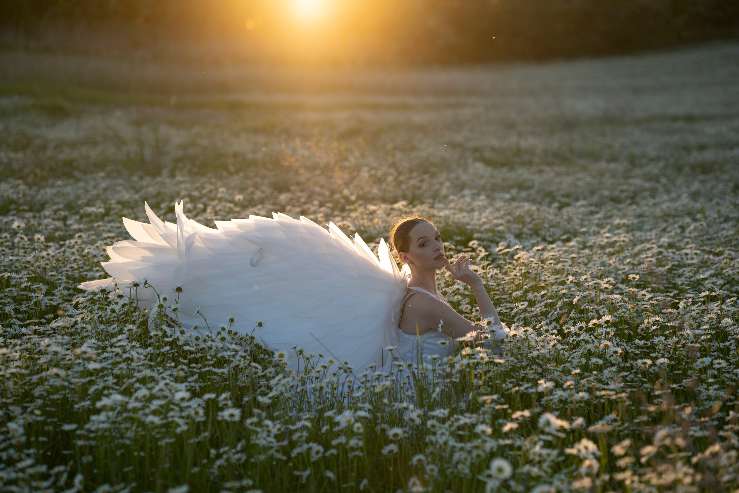 Крылья с подсветкой (3 т р). Фотограф в Крыму Лебедева Александра