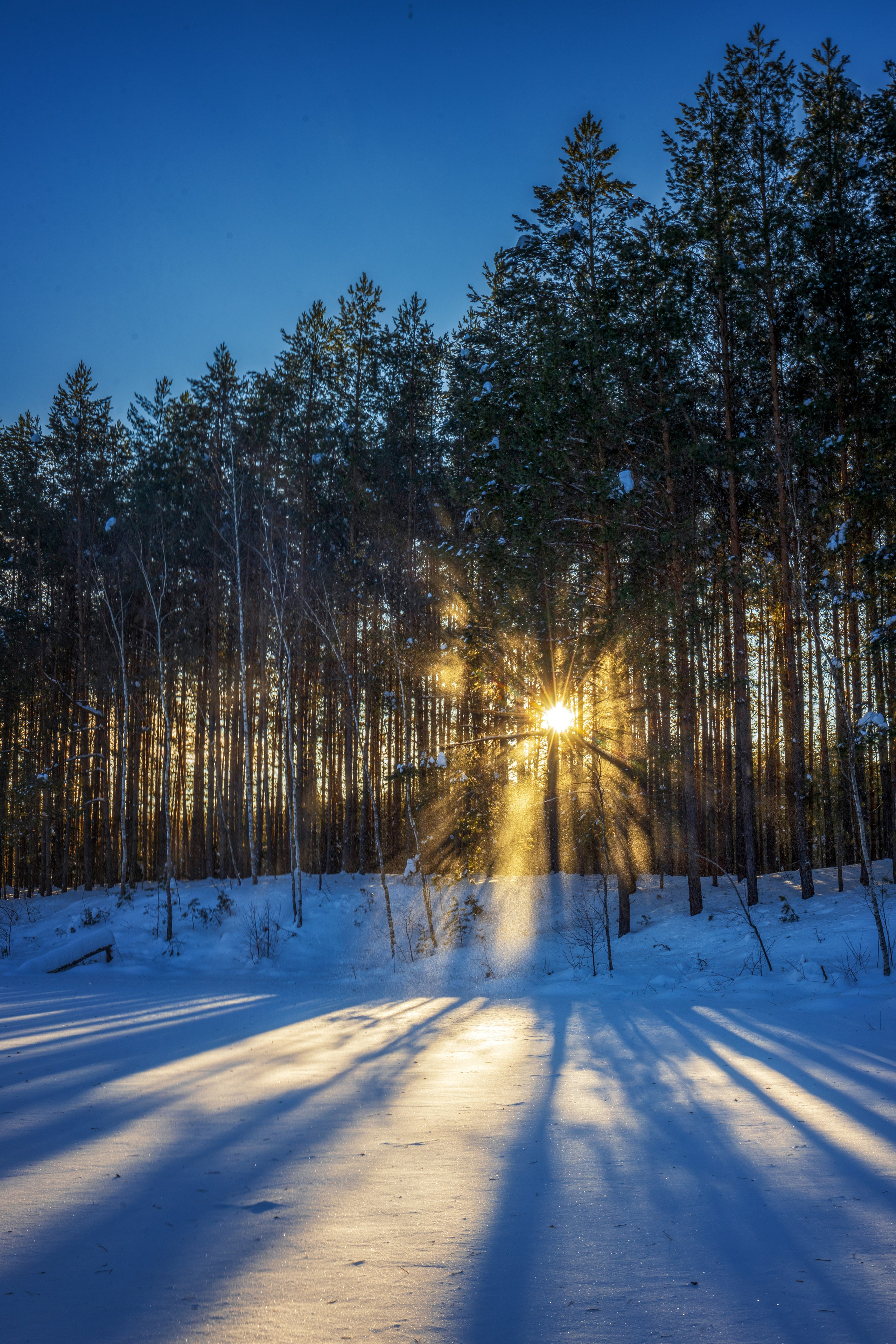 Суворовский район. Фотохудожник Артём Парамонов