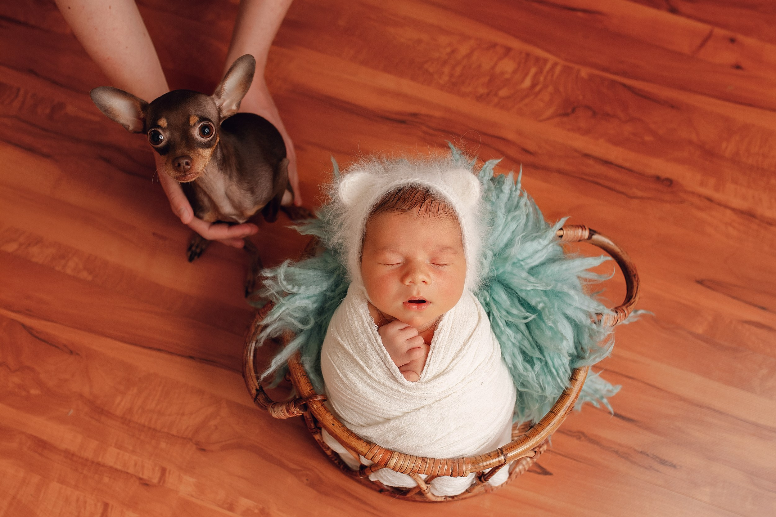 АРТЁМ Classic. Фотограф новорожденных Оксана Полевская