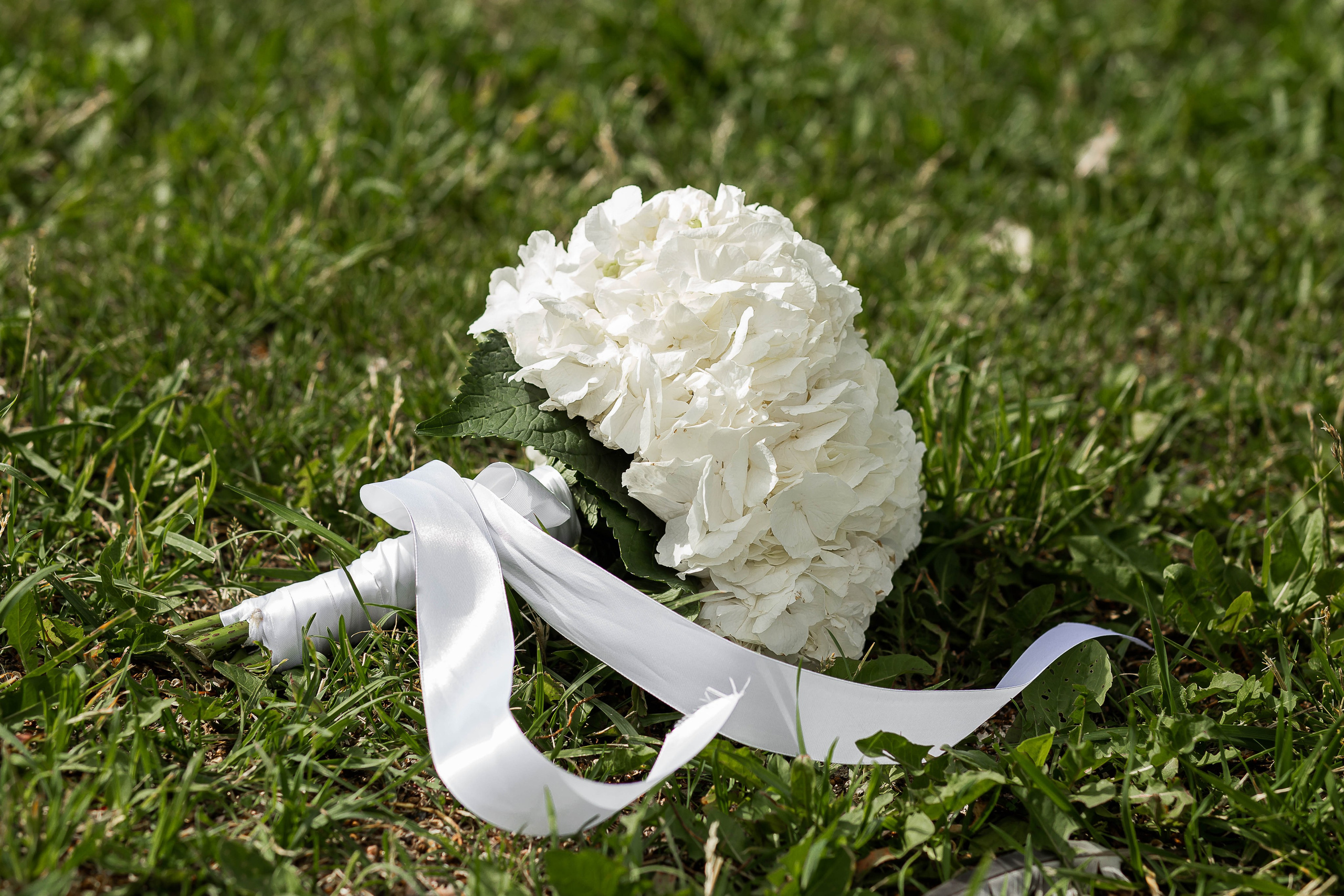 Олег и Наталья. Свадебный и семейный фотограф в Колпино и СПб Юлия Папанова