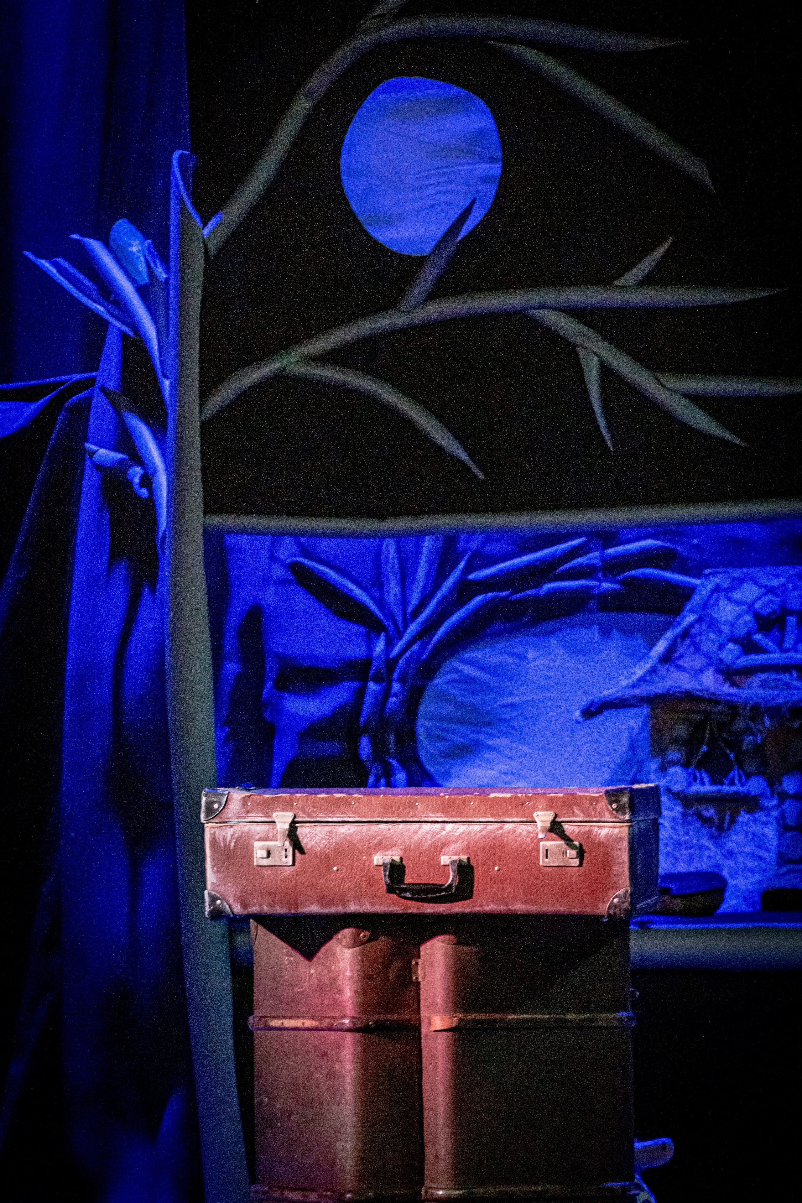 Мумитроли и большое наводнение спектакль театра Саквояж. Фотограф в Сочи Юрий Шептаев