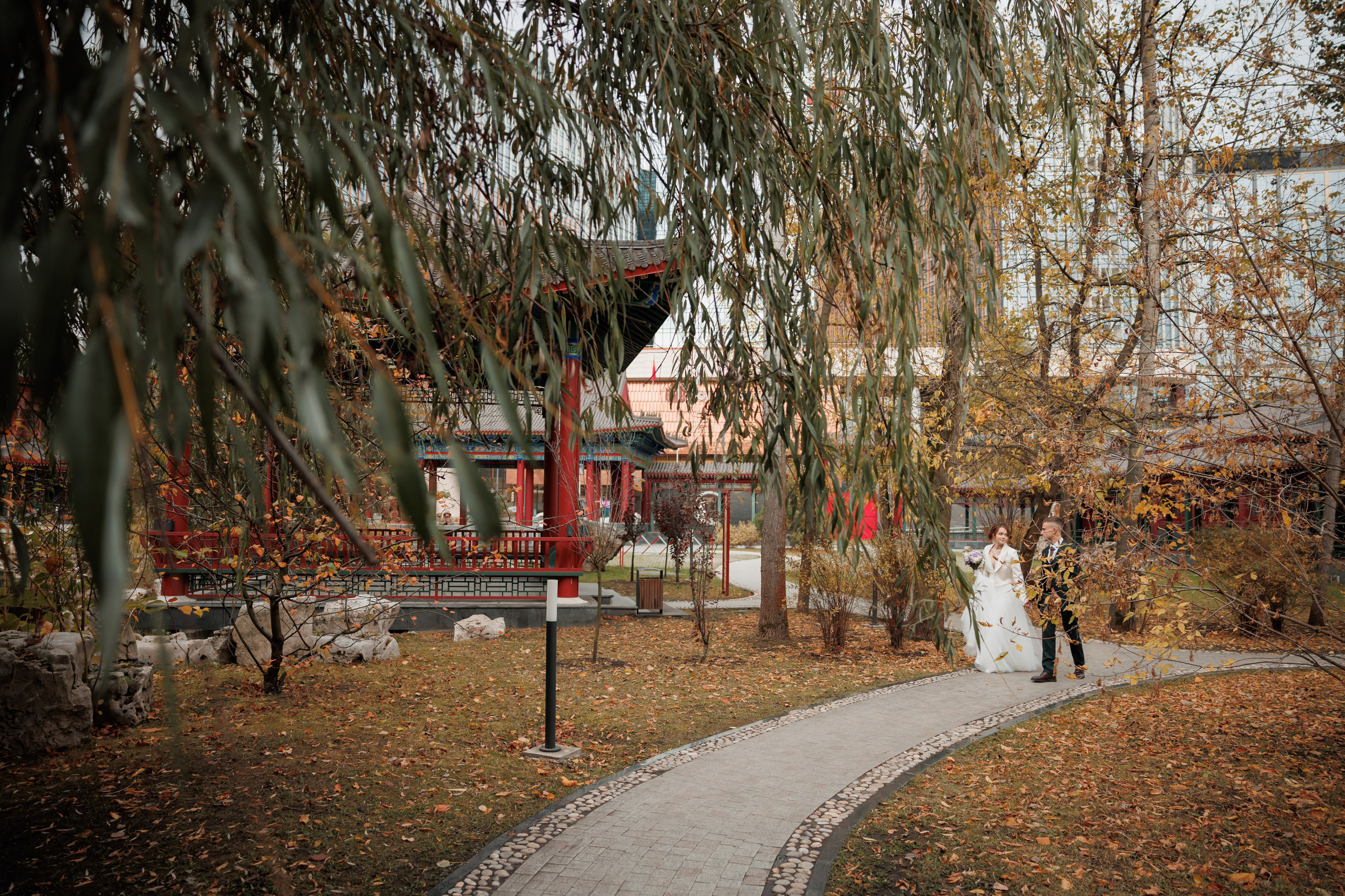 Константин и Дарья, ЗАГС ВДНХ, отель Soluxe, ресторан «Антик». Свадебный и репортажный фотограф (Москва, Королев и другие)