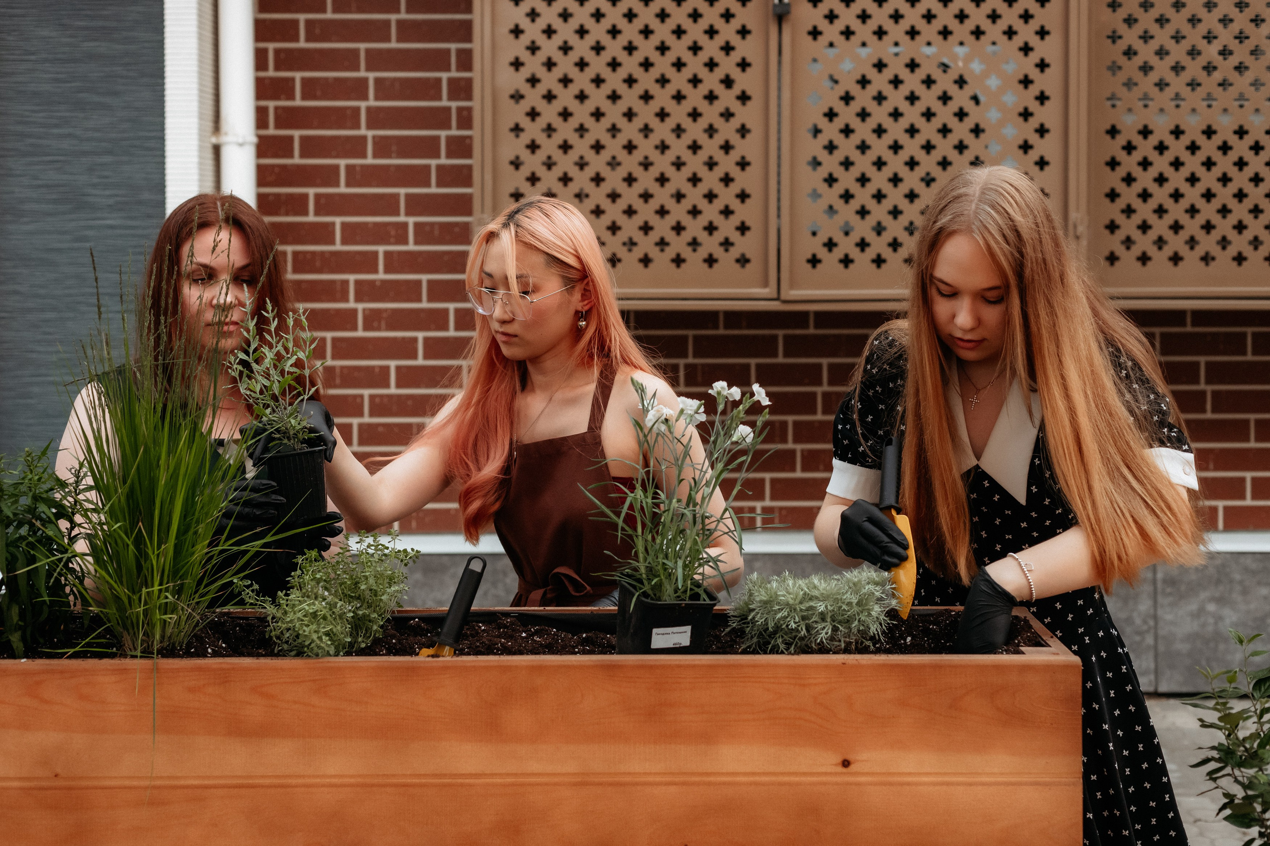 РЕСНОТА — ОТКРЫТИЕ ТЕРРАСЫ. СВОИ. ФОТООТЧЕТЫ-СОБЫТИЯ-МЕСТА