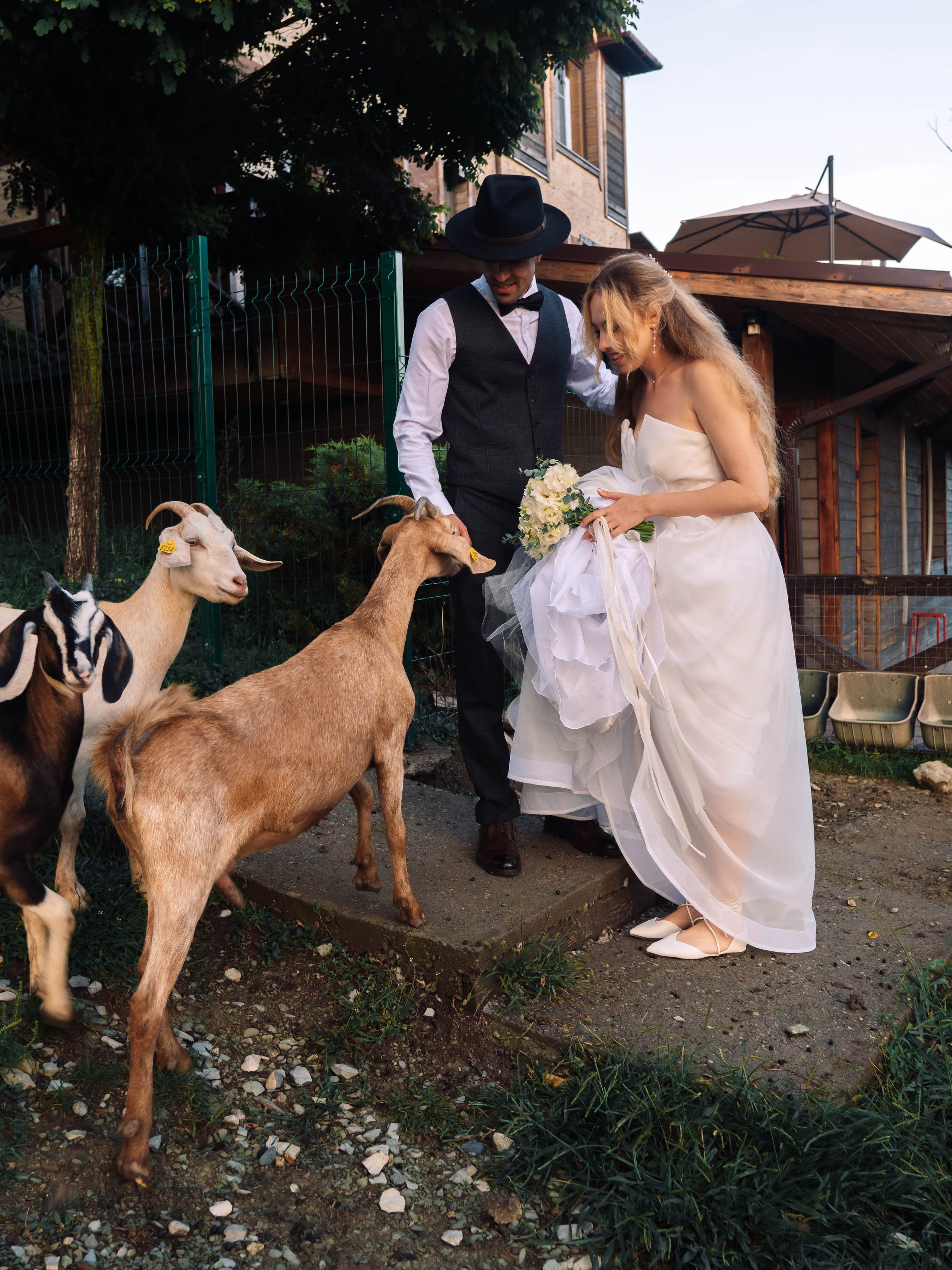 Свадьба — ферма Экзархо. Фотограф в Сочи