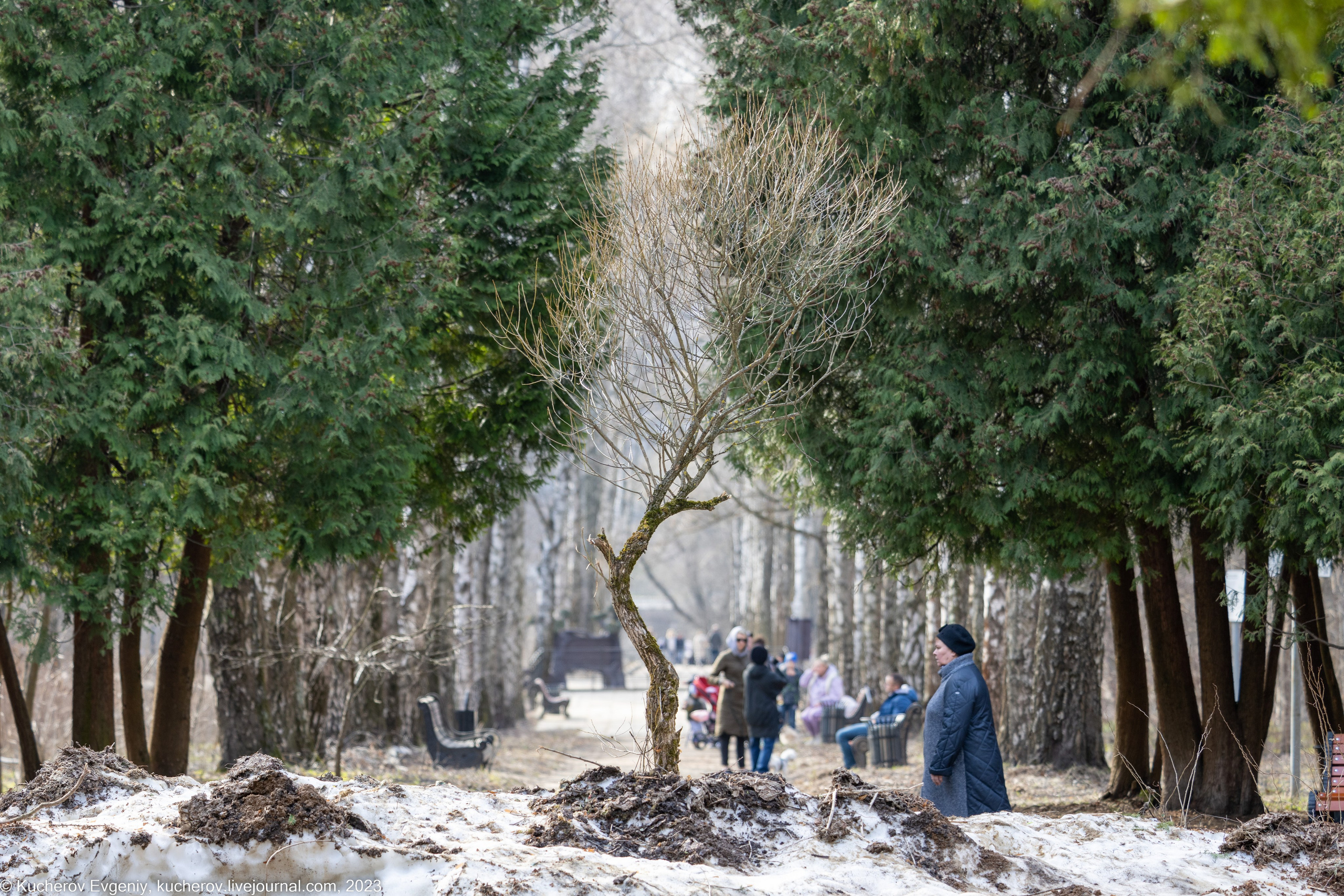 Репортаж. Кучеров Евгений. Фотограф