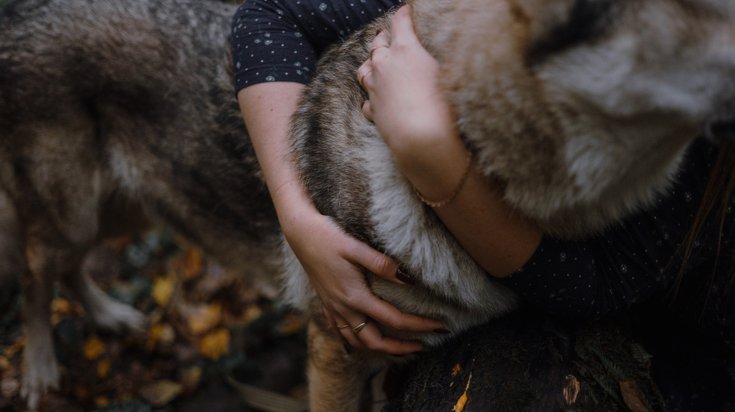 Полина и Вегард. Фотограф-анималист Богданова Полина